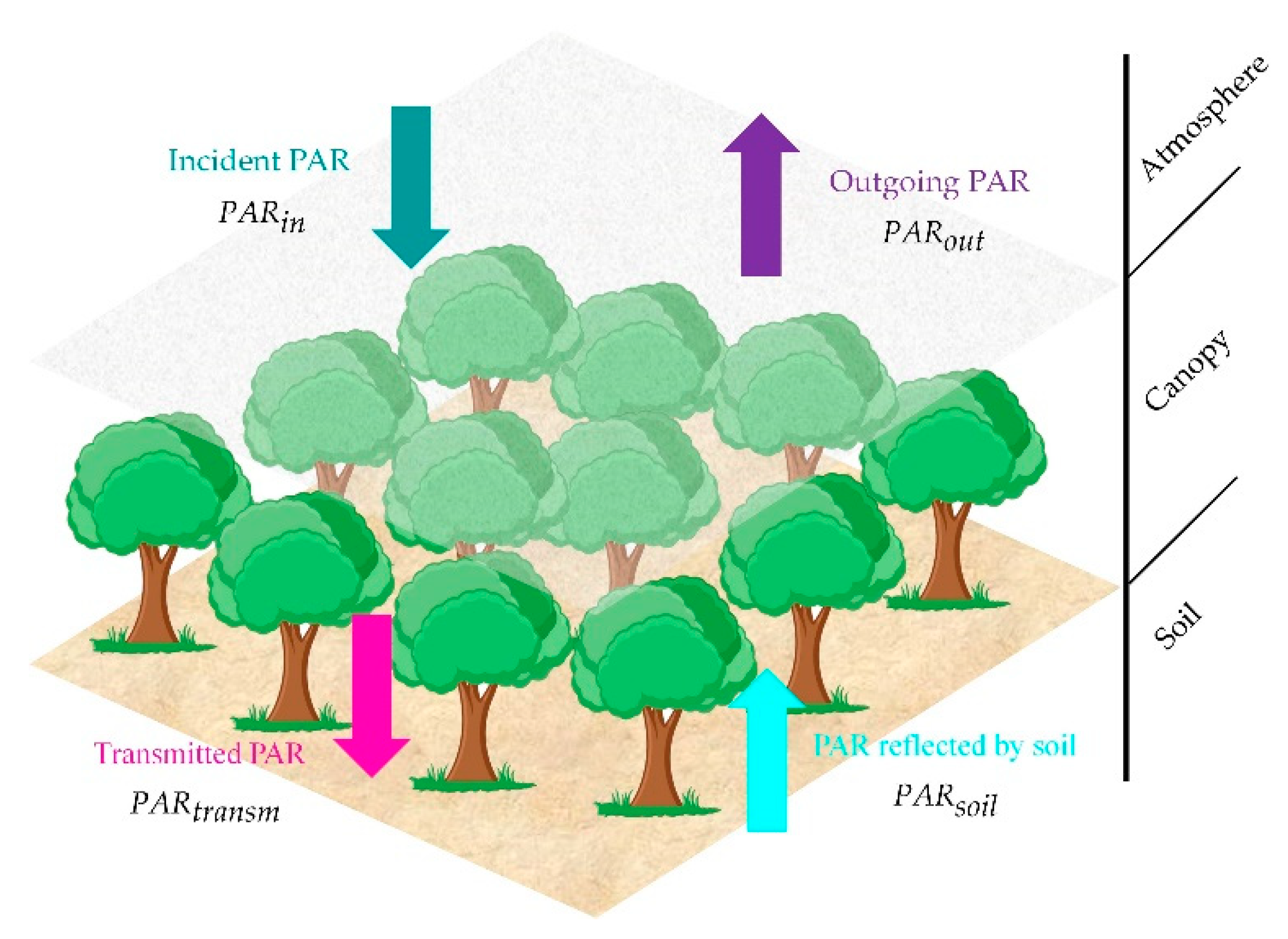 Remotesensing 11 01004 g002 550