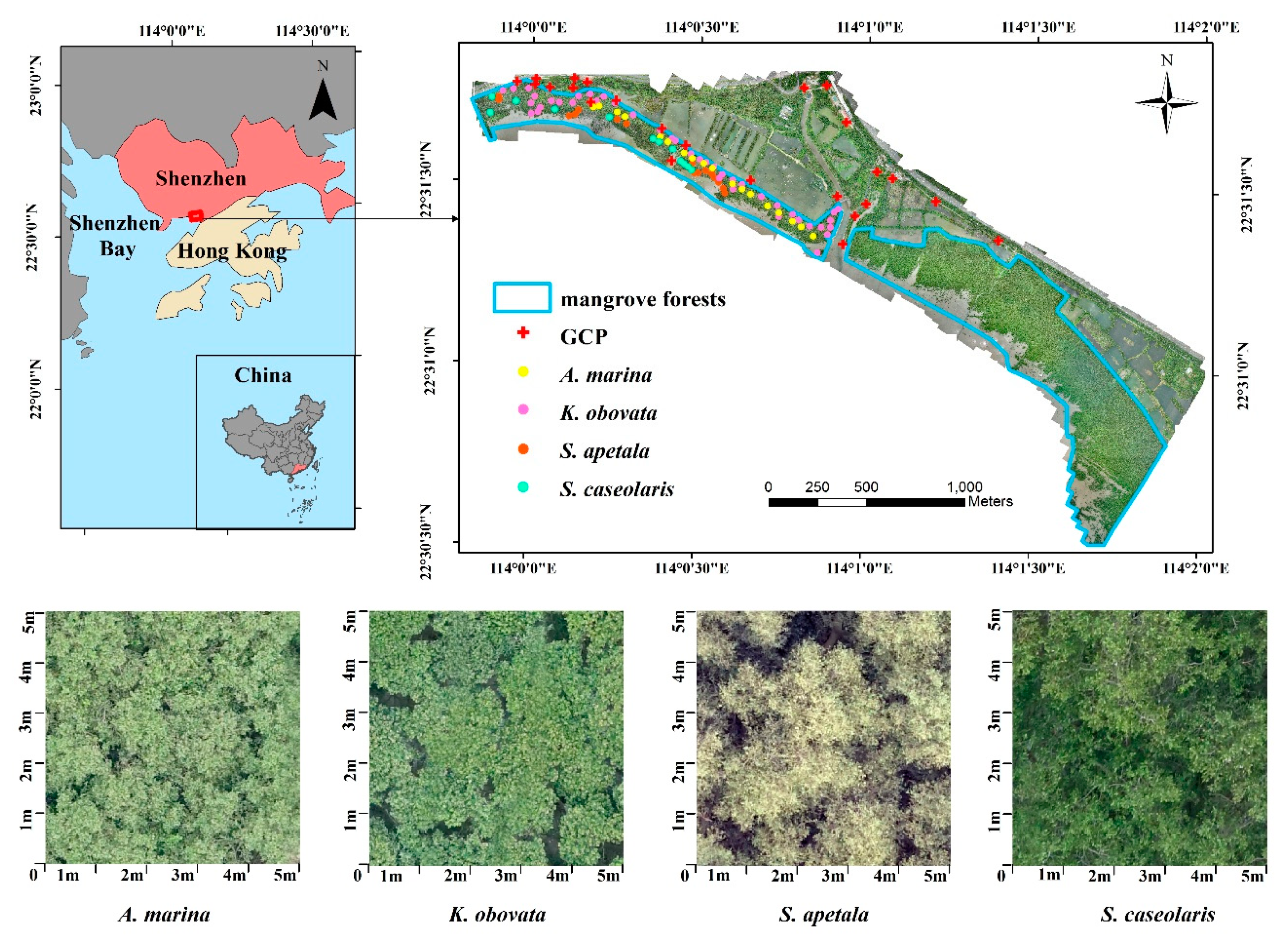 Remotesensing 11 01018 g001 Remotesensing 11 01018 g001