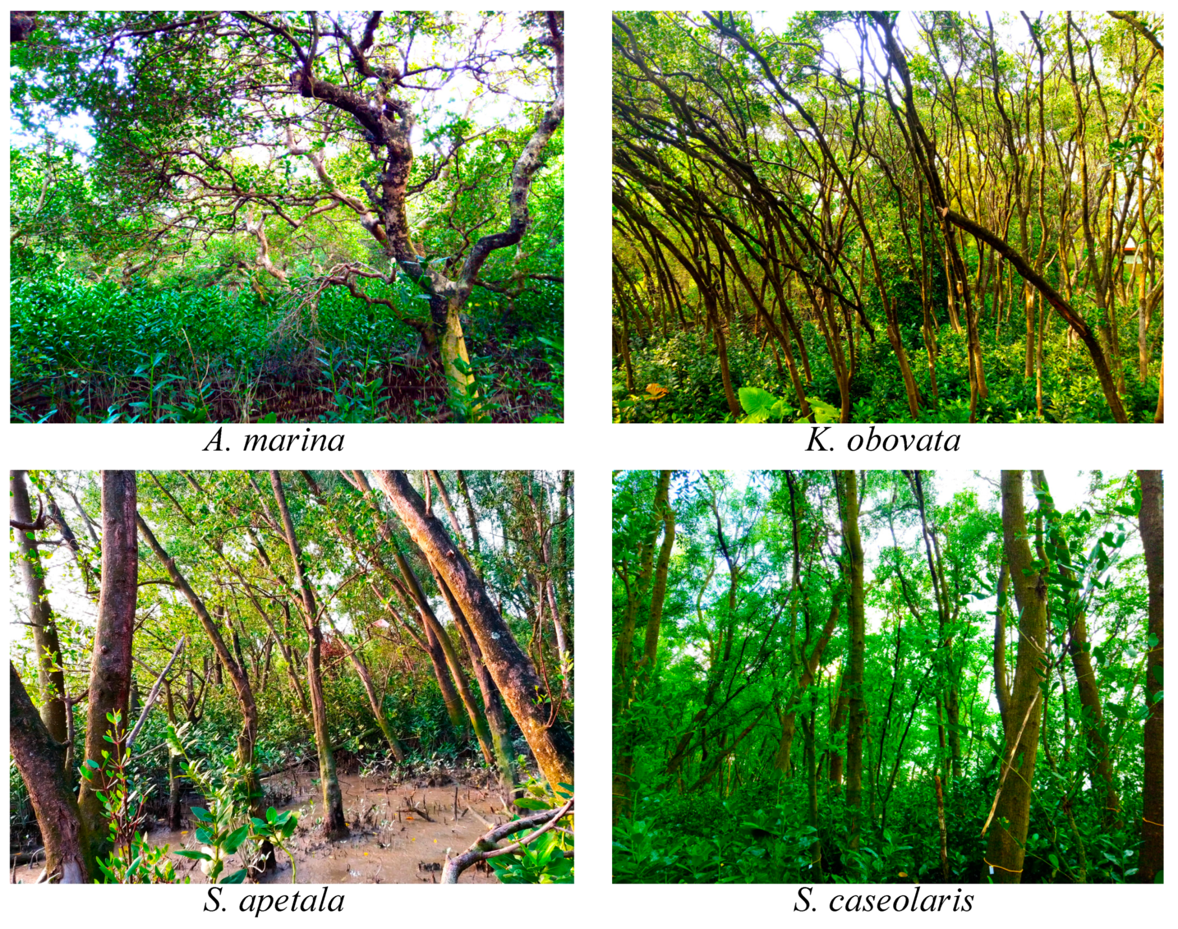 Remotesensing 11 01018 g0a3 Remotesensing 11 01018 g0a3