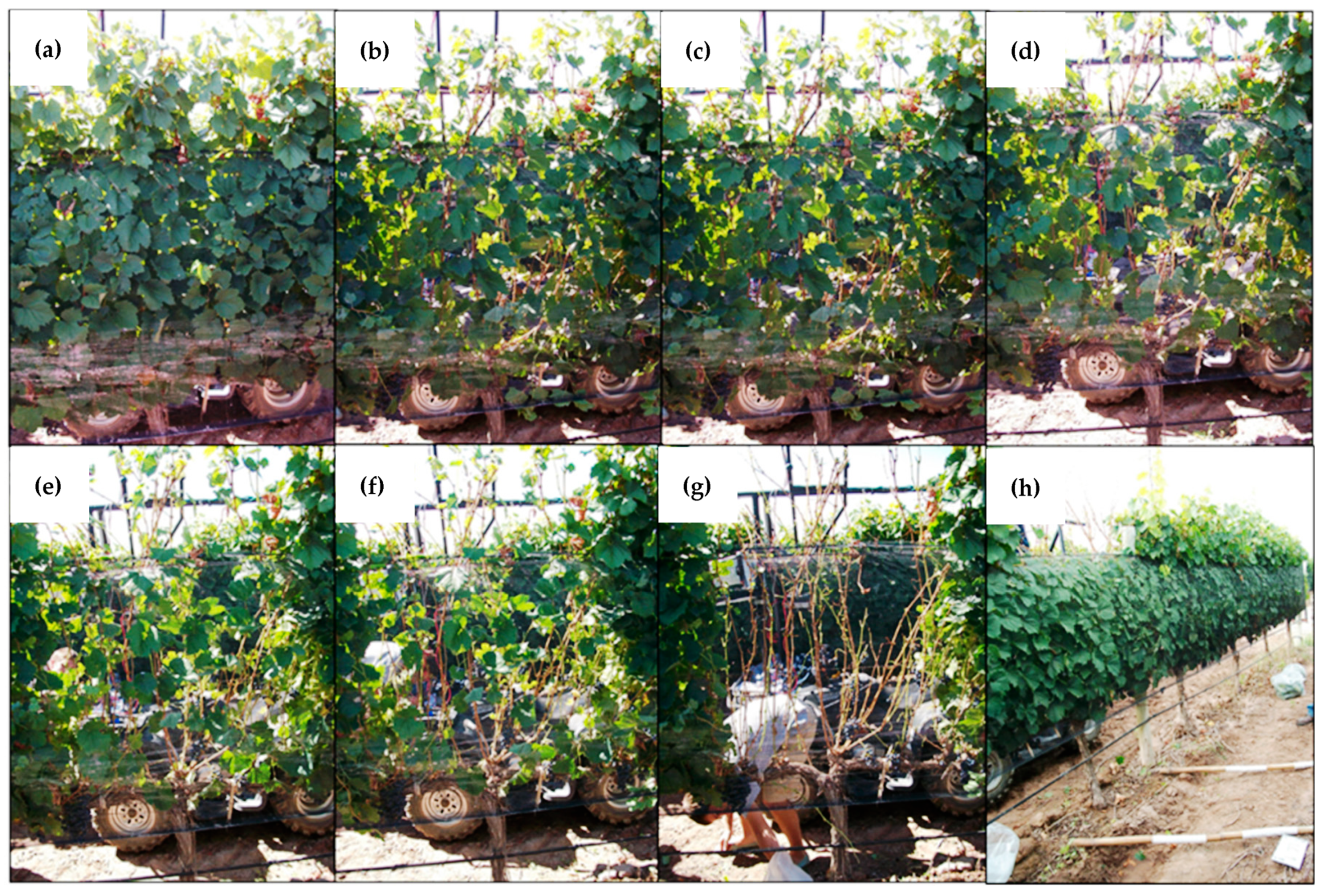 Remotesensing 11 01073 g002 Remotesensing 11 01073 g002