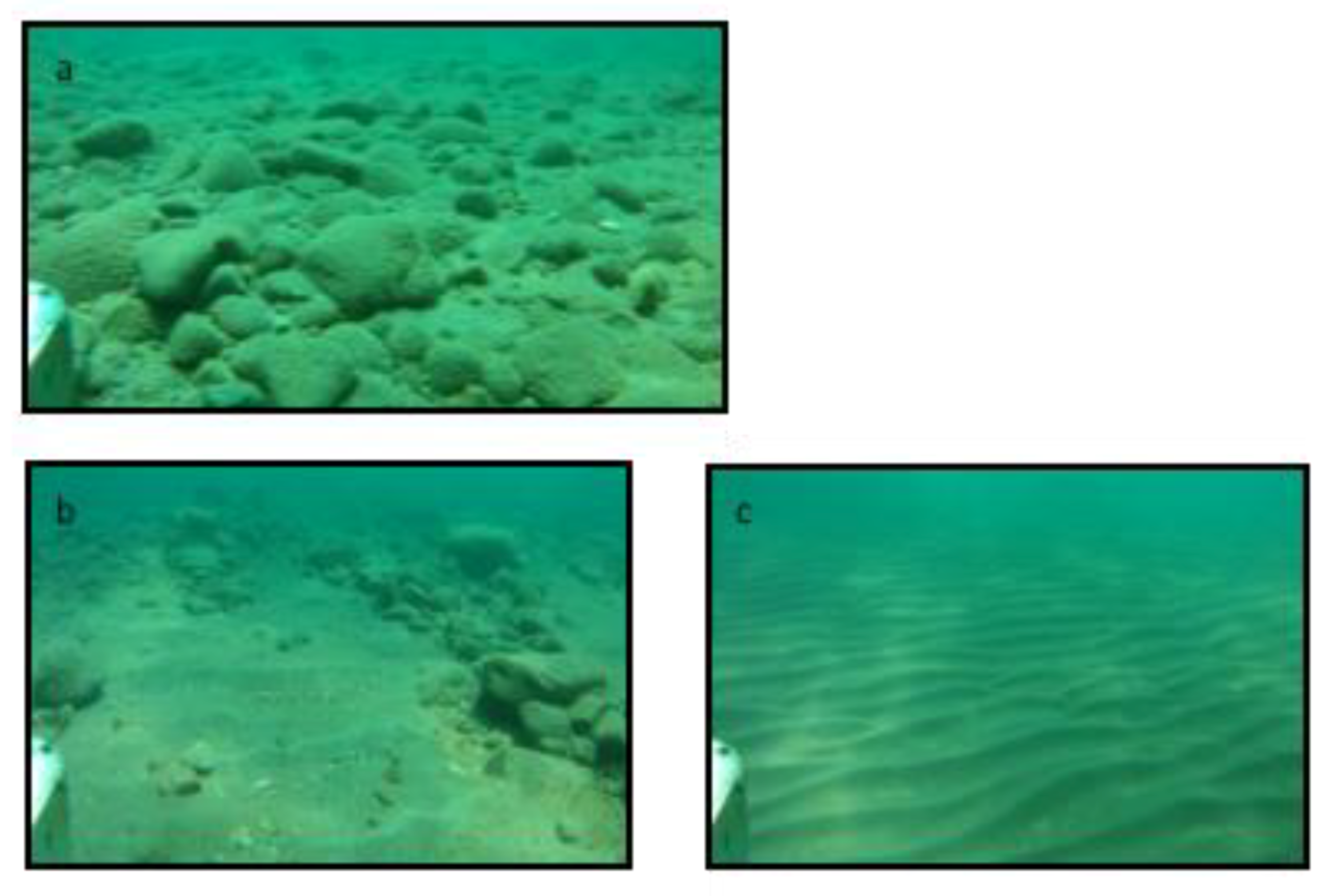 Remotesensing 11 01076 g011