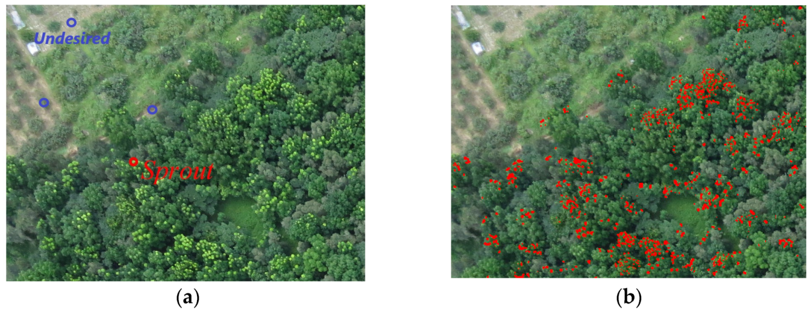 Remotesensing 11 01081 g002 Remotesensing 11 01081 g002