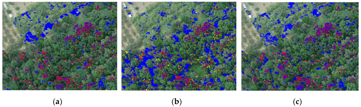 Remotesensing 11 01081 g011a Remotesensing 11 01081 g011a