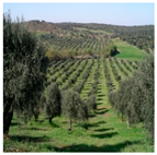 Remotesensing 11 01104 i004 Remotesensing 11 01104 i004