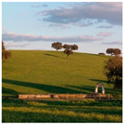 Remotesensing 11 01104 i006 Remotesensing 11 01104 i006