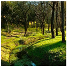 Remotesensing 11 01104 i008 Remotesensing 11 01104 i008