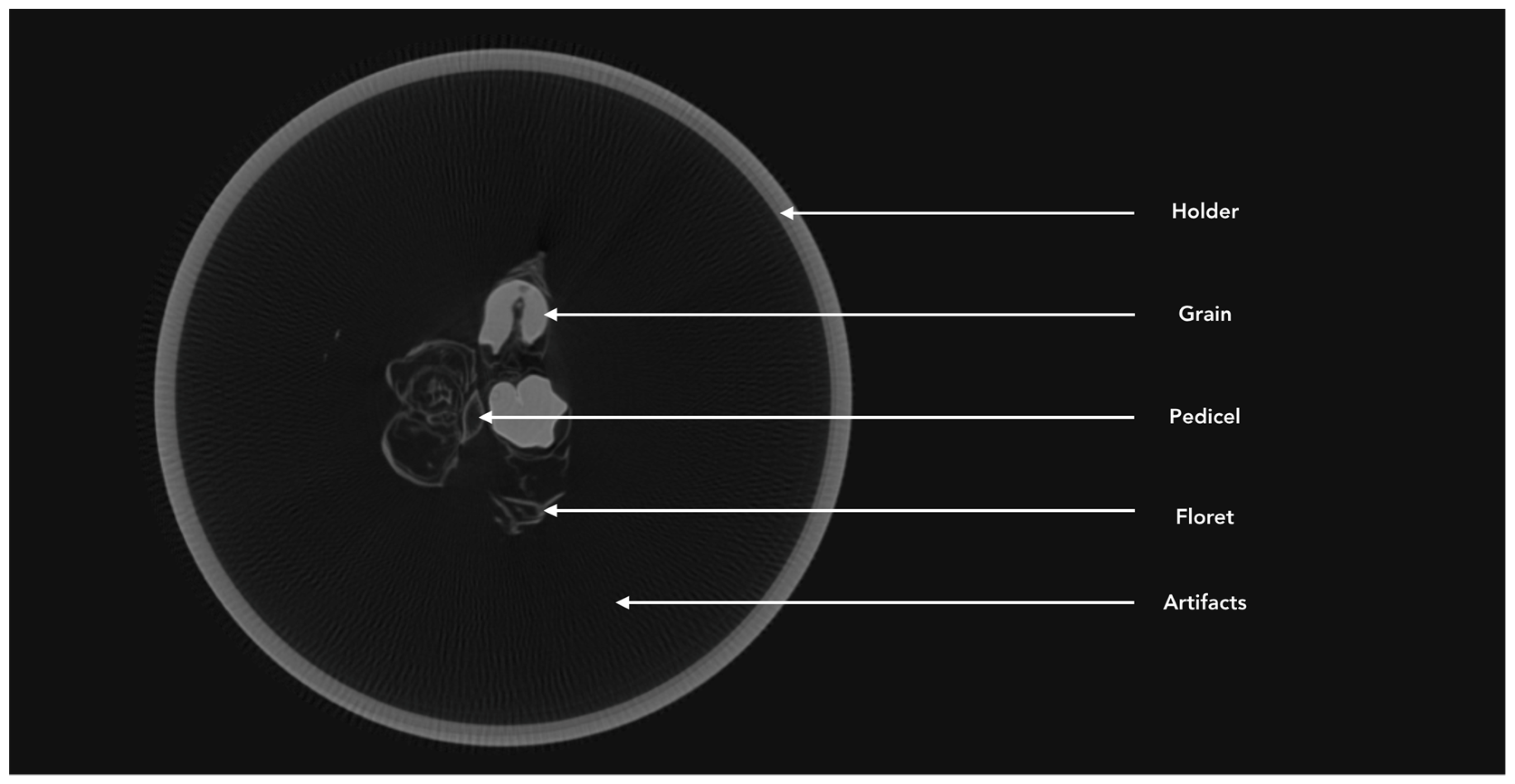 Remotesensing 11 01110 g002 550