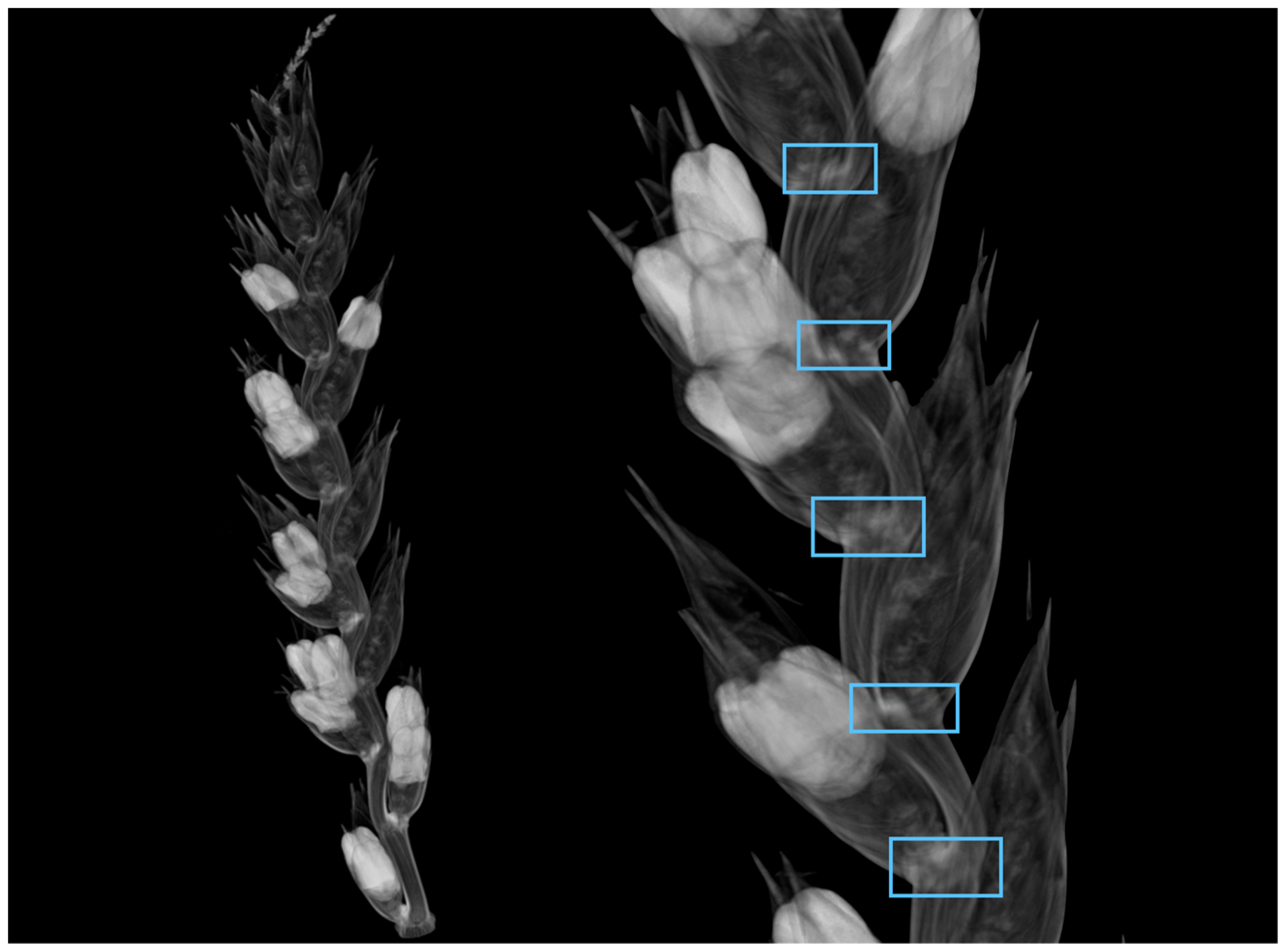 Remotesensing 11 01110 g011 550