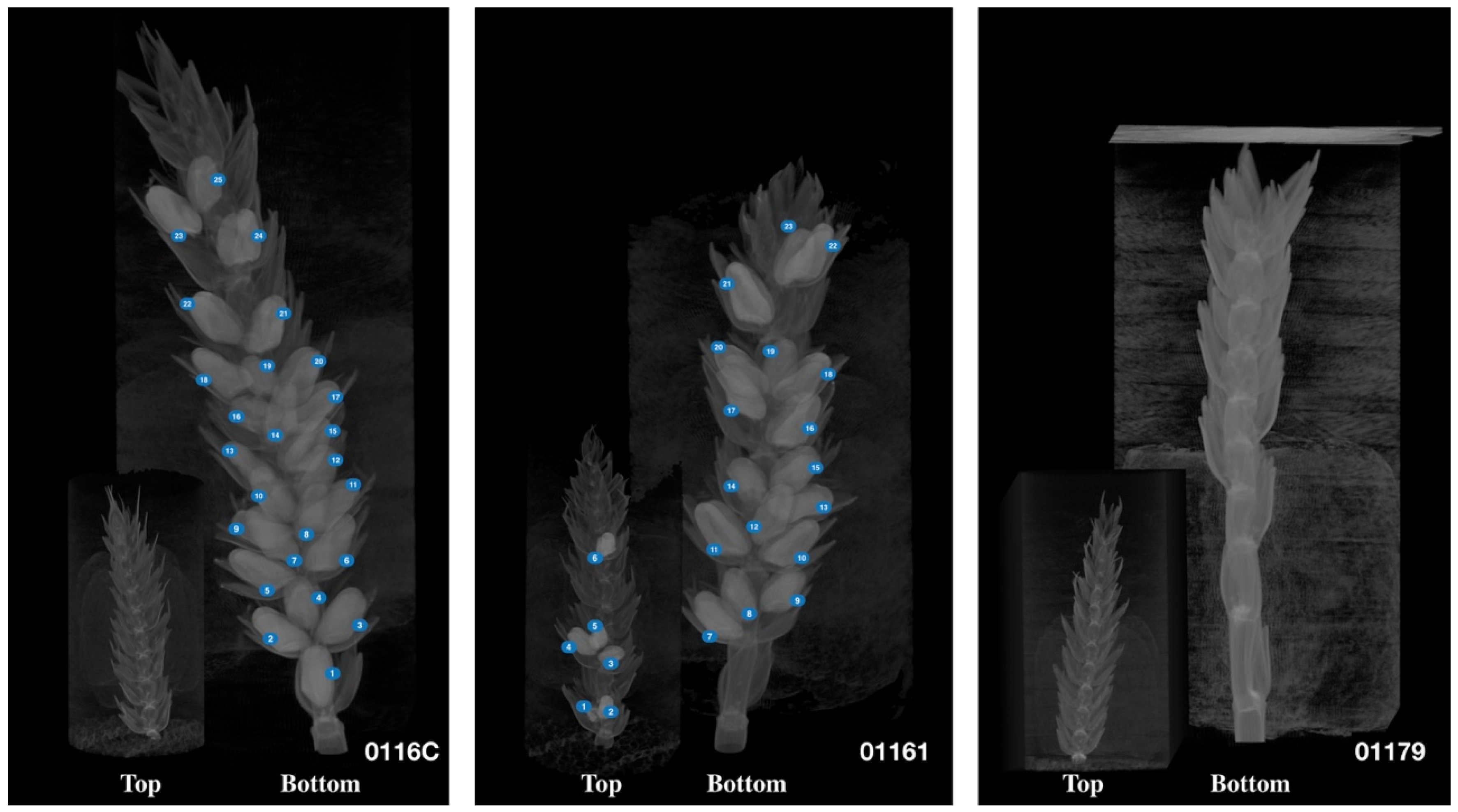 Remotesensing 11 01110 g019 550