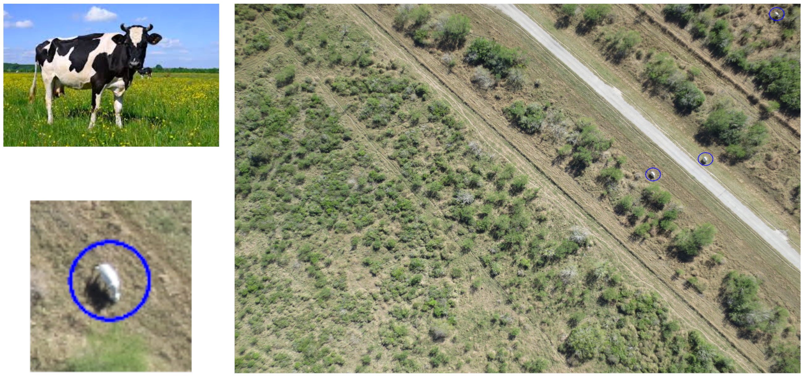 Remotesensing 11 01128 g001