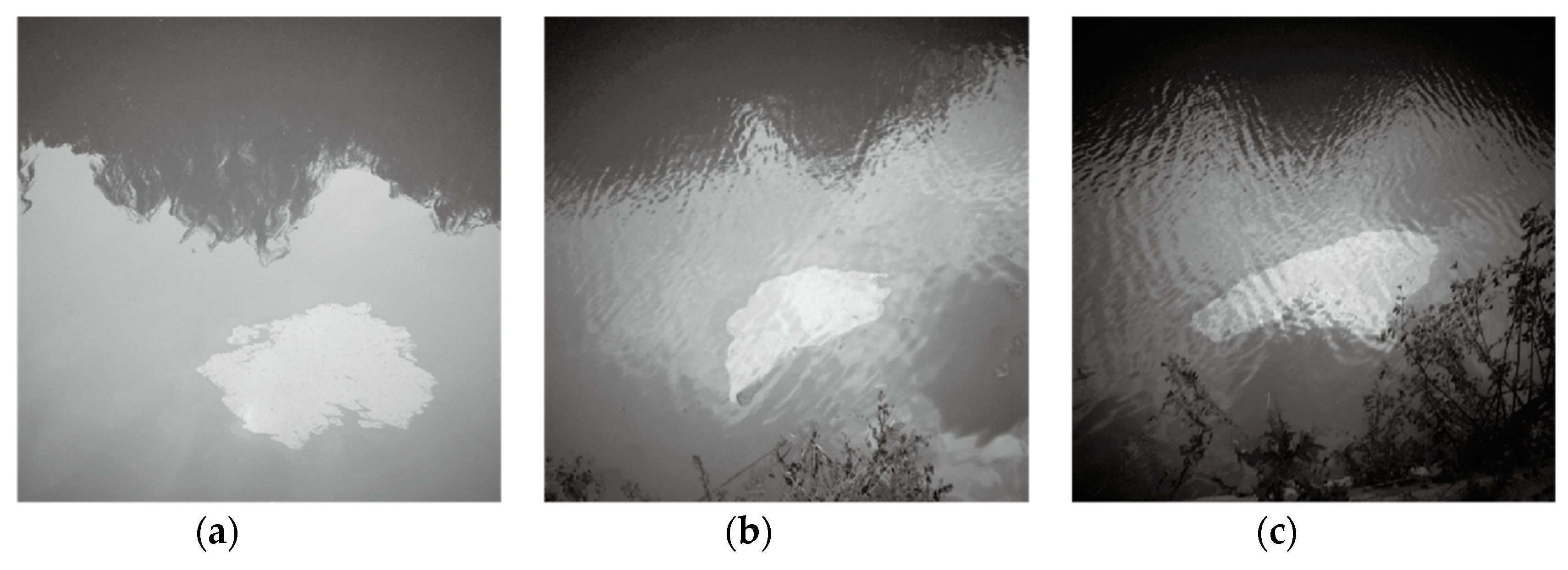 Remotesensing 11 01142 g004