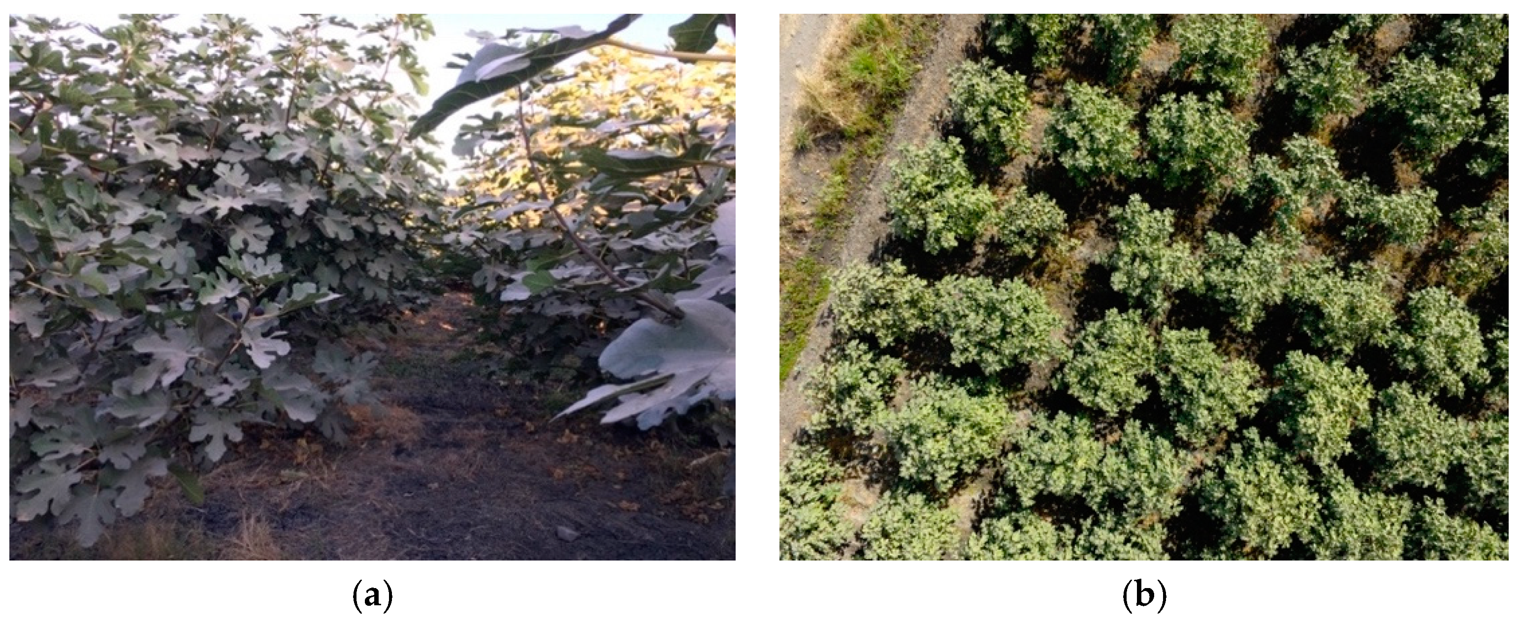 Remotesensing 11 01157 g001