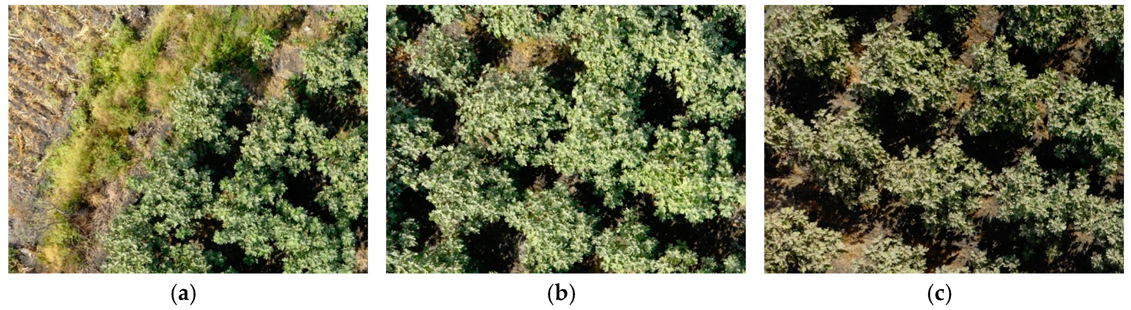 Remotesensing 11 01157 g004