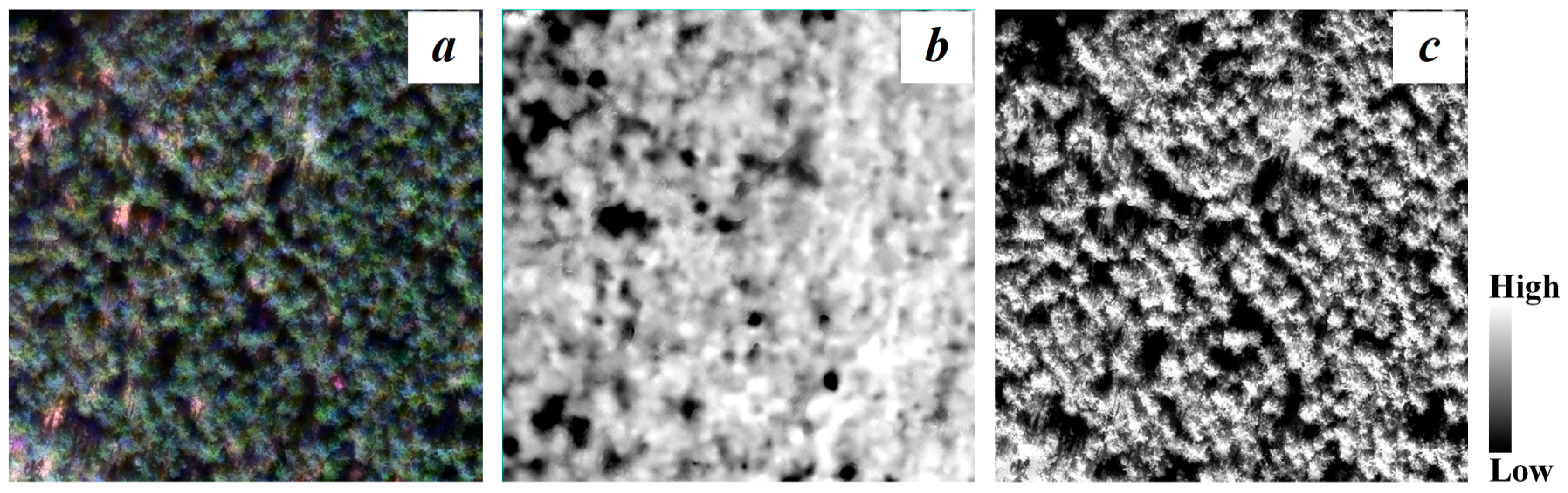 Remotesensing 11 01192 g006 550