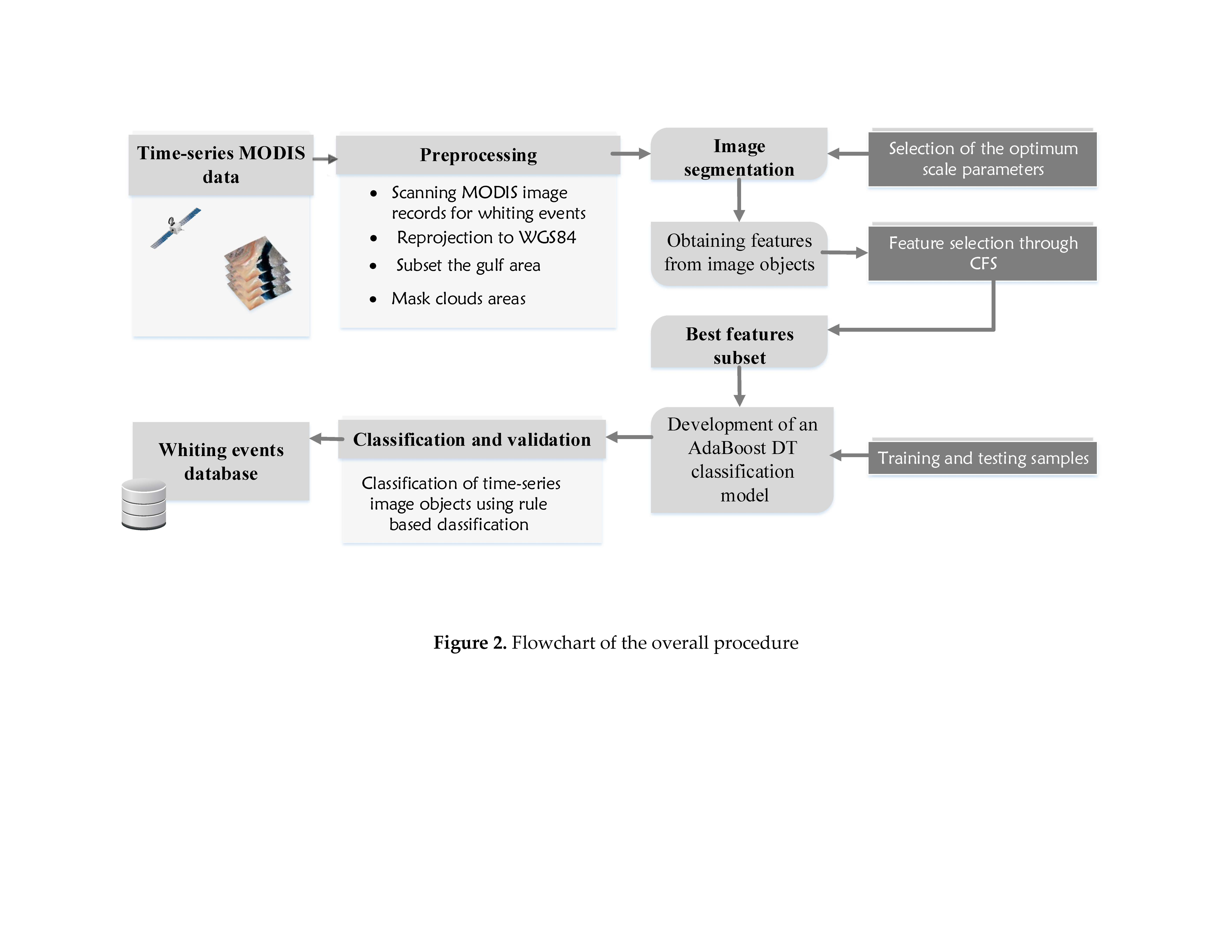 Grey Reef Flow Chart