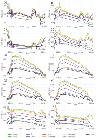 Forest Stand Species Mapping Using the Sentinel-2 Time Series