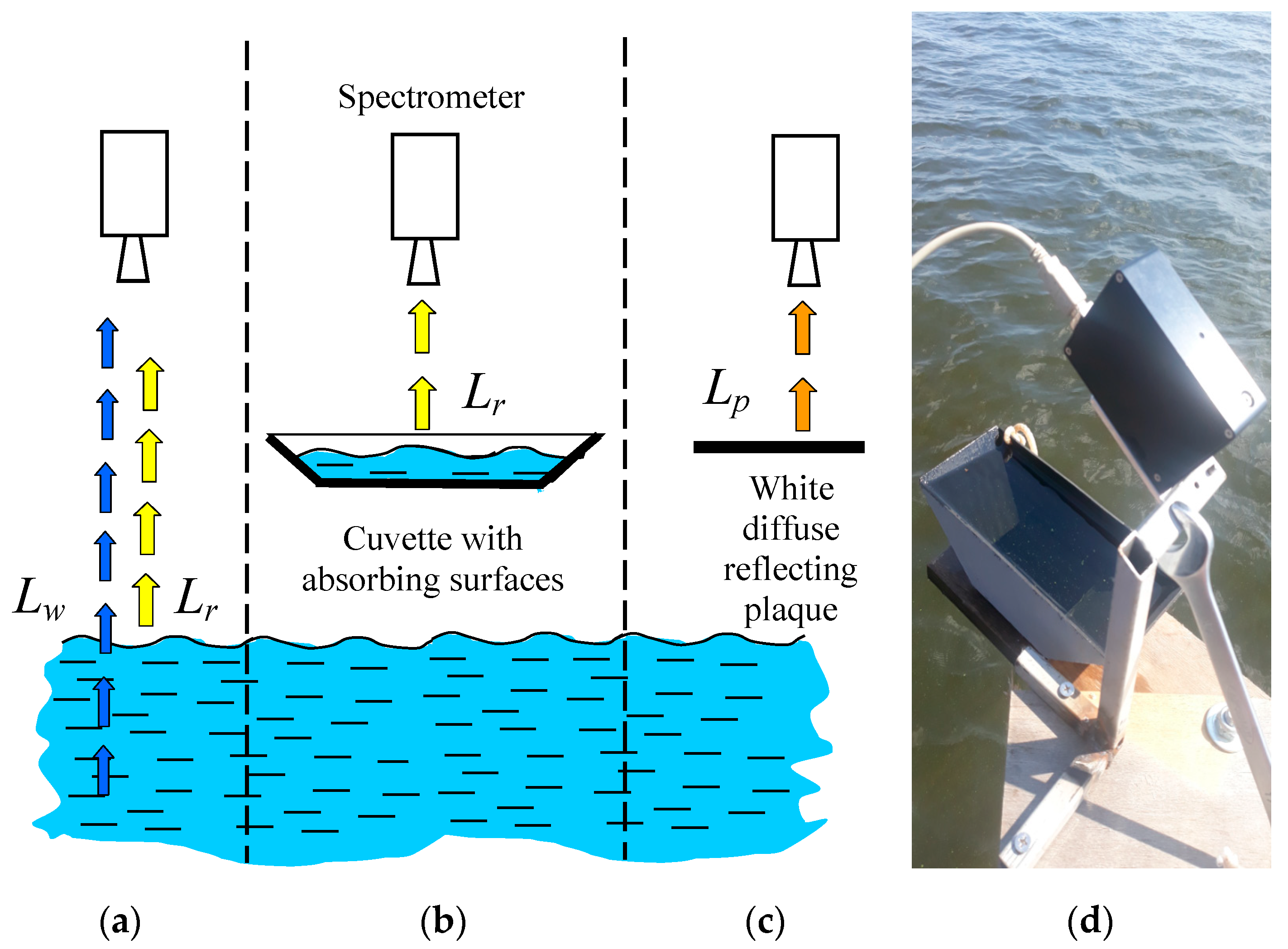 Remotesensing 11 01215 g006