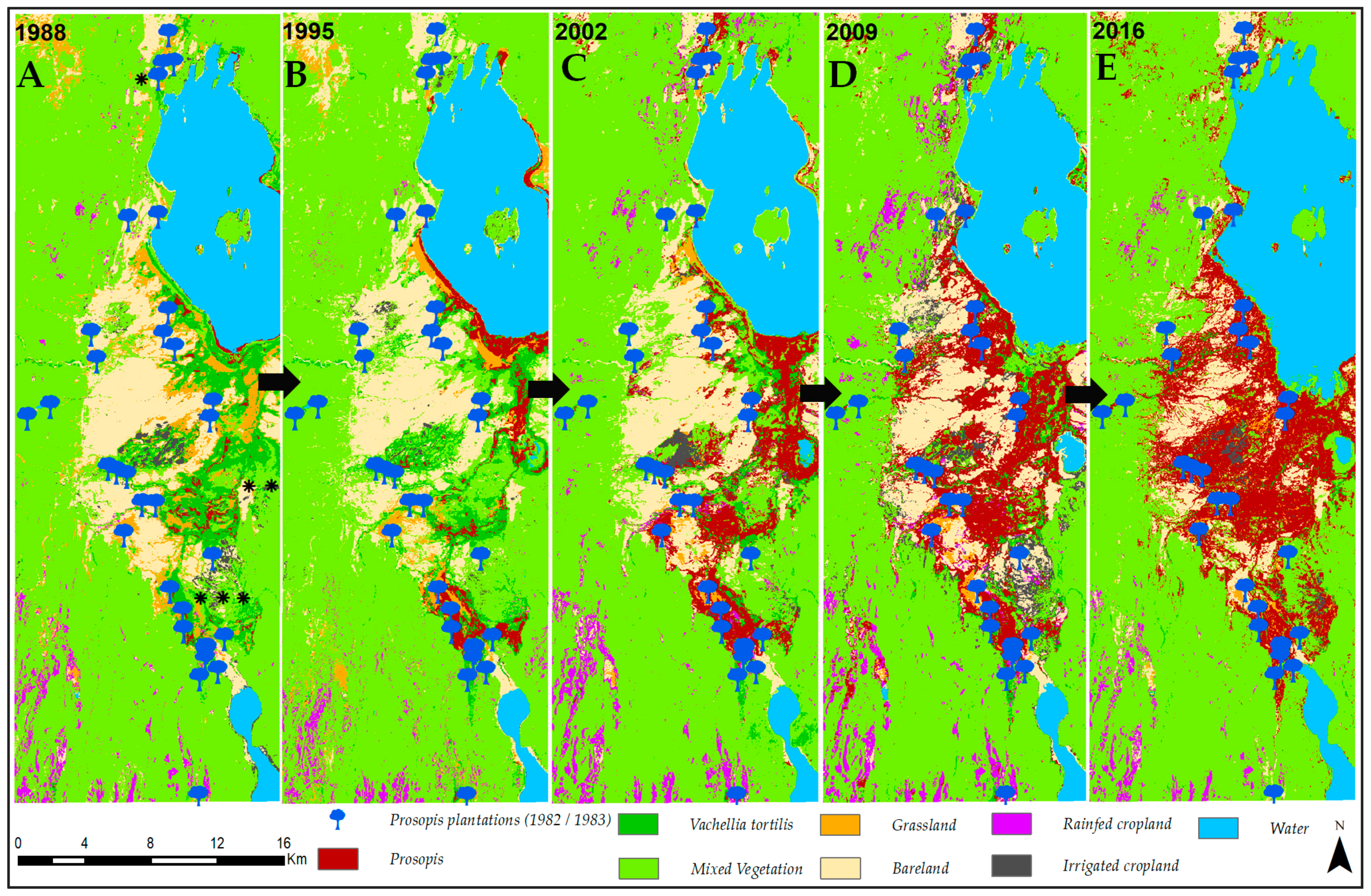 Remotesensing 11 01217 g006