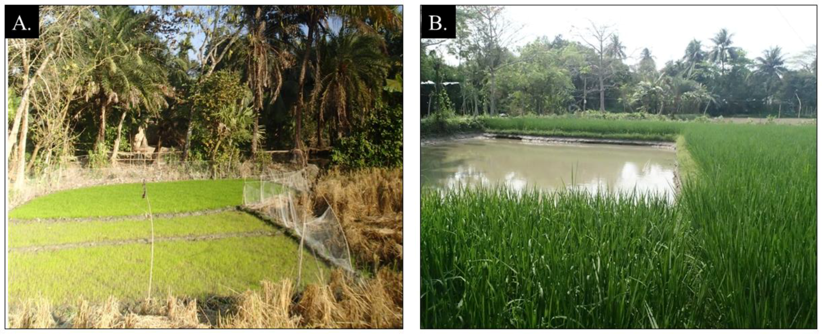 Remotesensing 11 01235 g002 Remotesensing 11 01235 g002