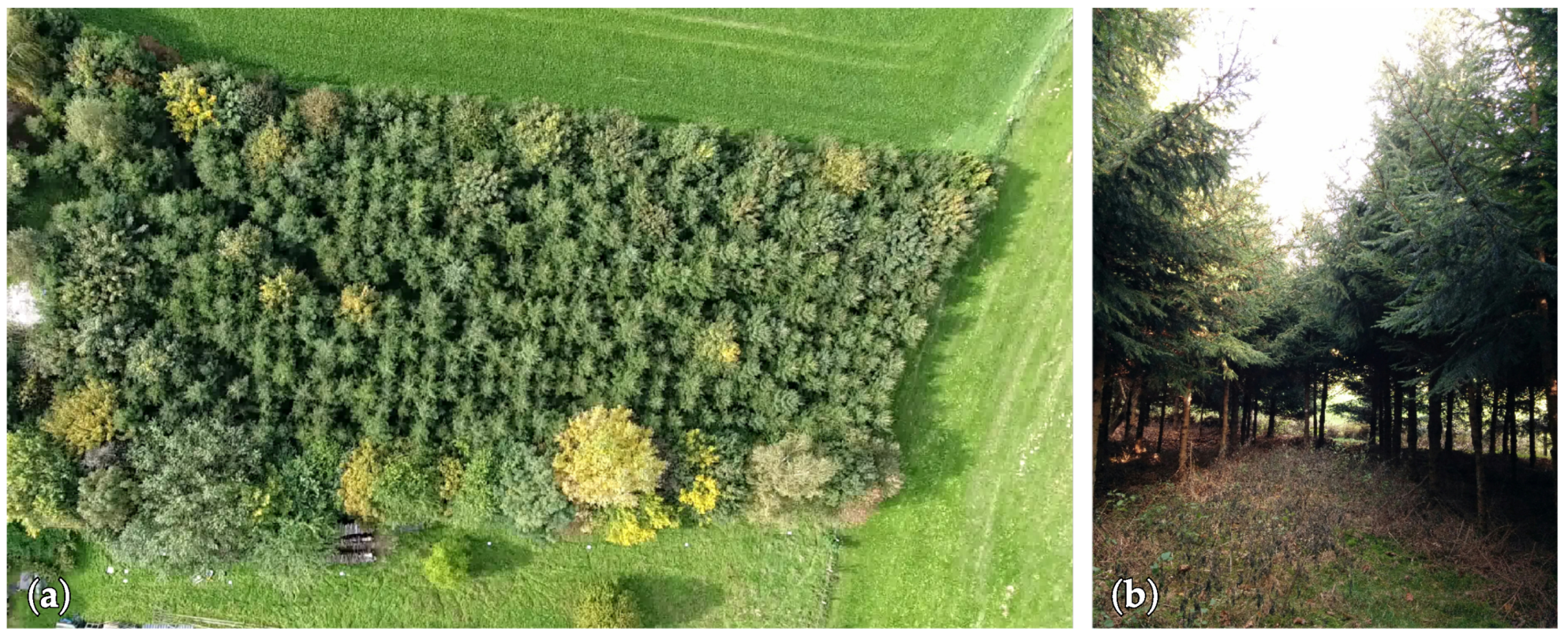 Remotesensing 11 01252 g002 Remotesensing 11 01252 g002