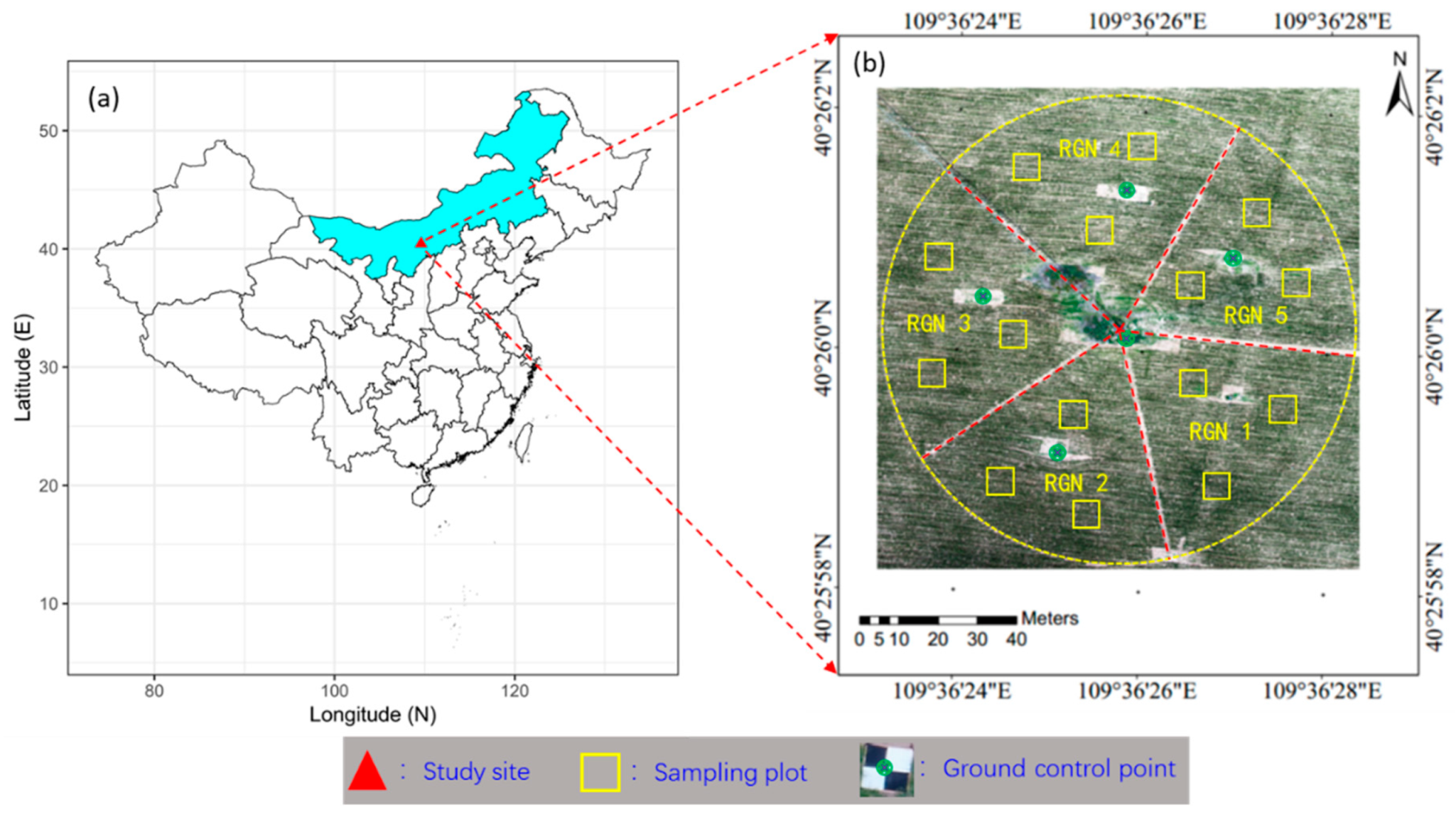 Estimating Above-Ground Biomass of Maize Using Features Derived