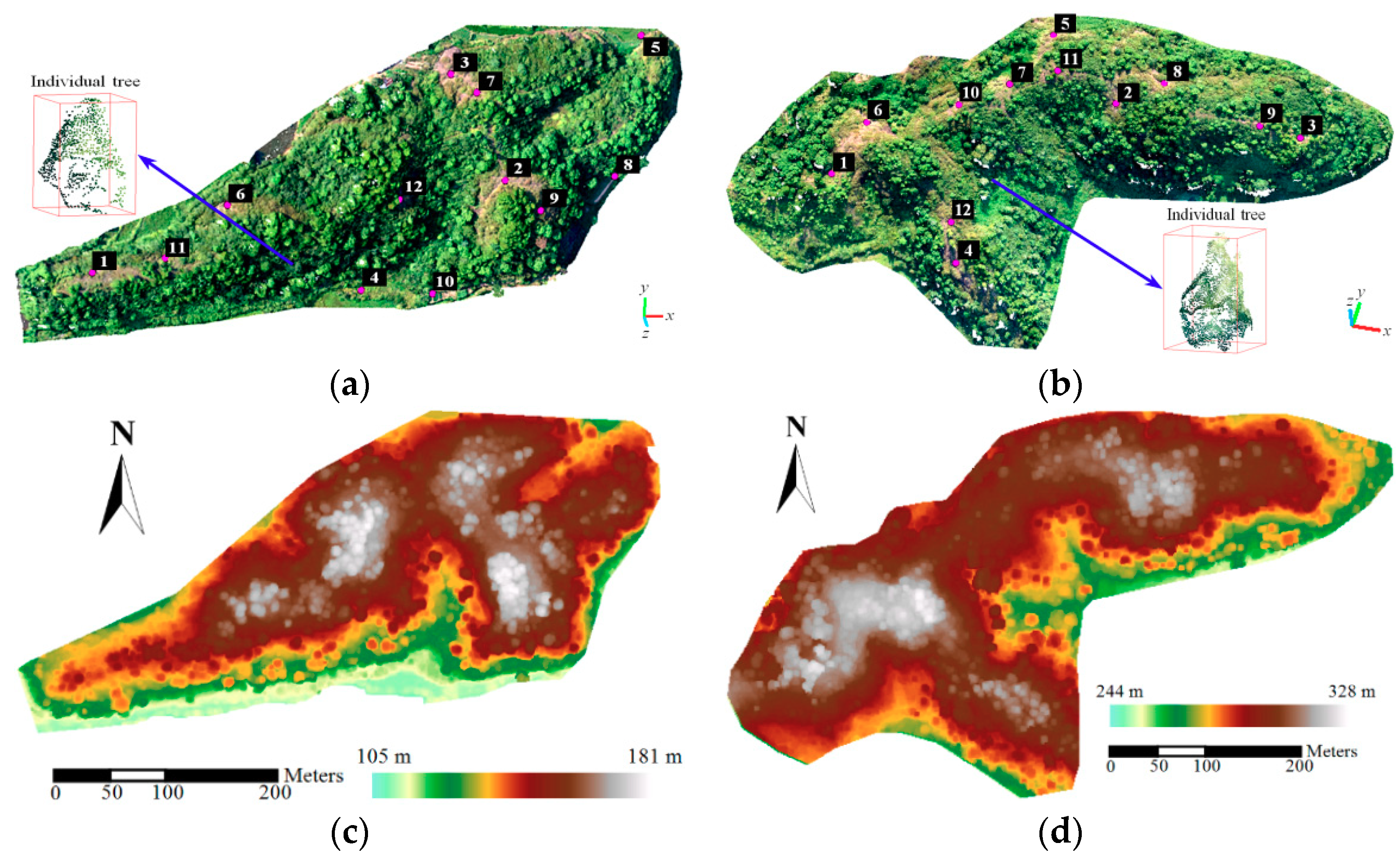 Remote Sensing | Free Full-Text | Tree Height Estimation of Forest ...