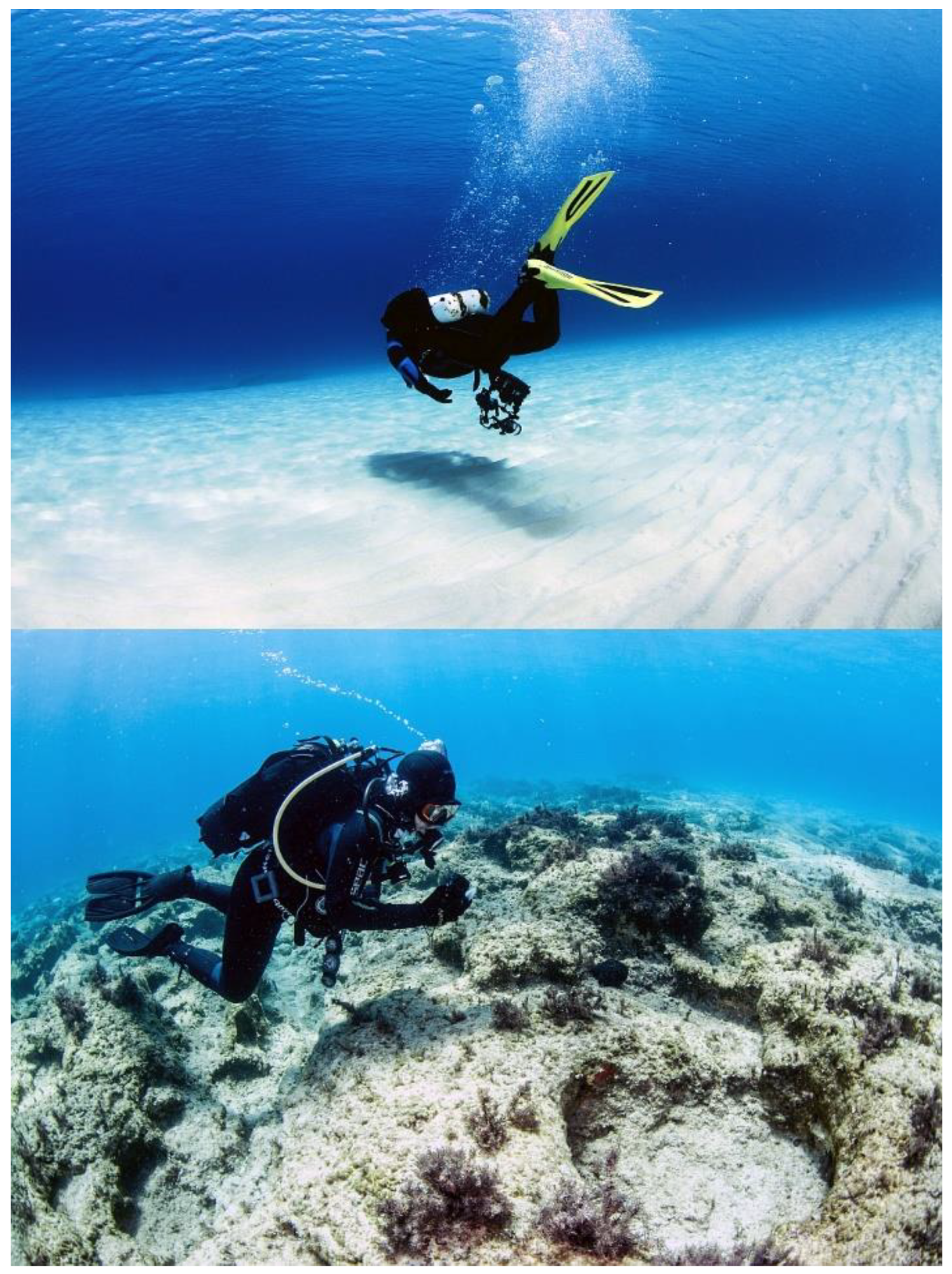 Remotesensing 11 01299 g003