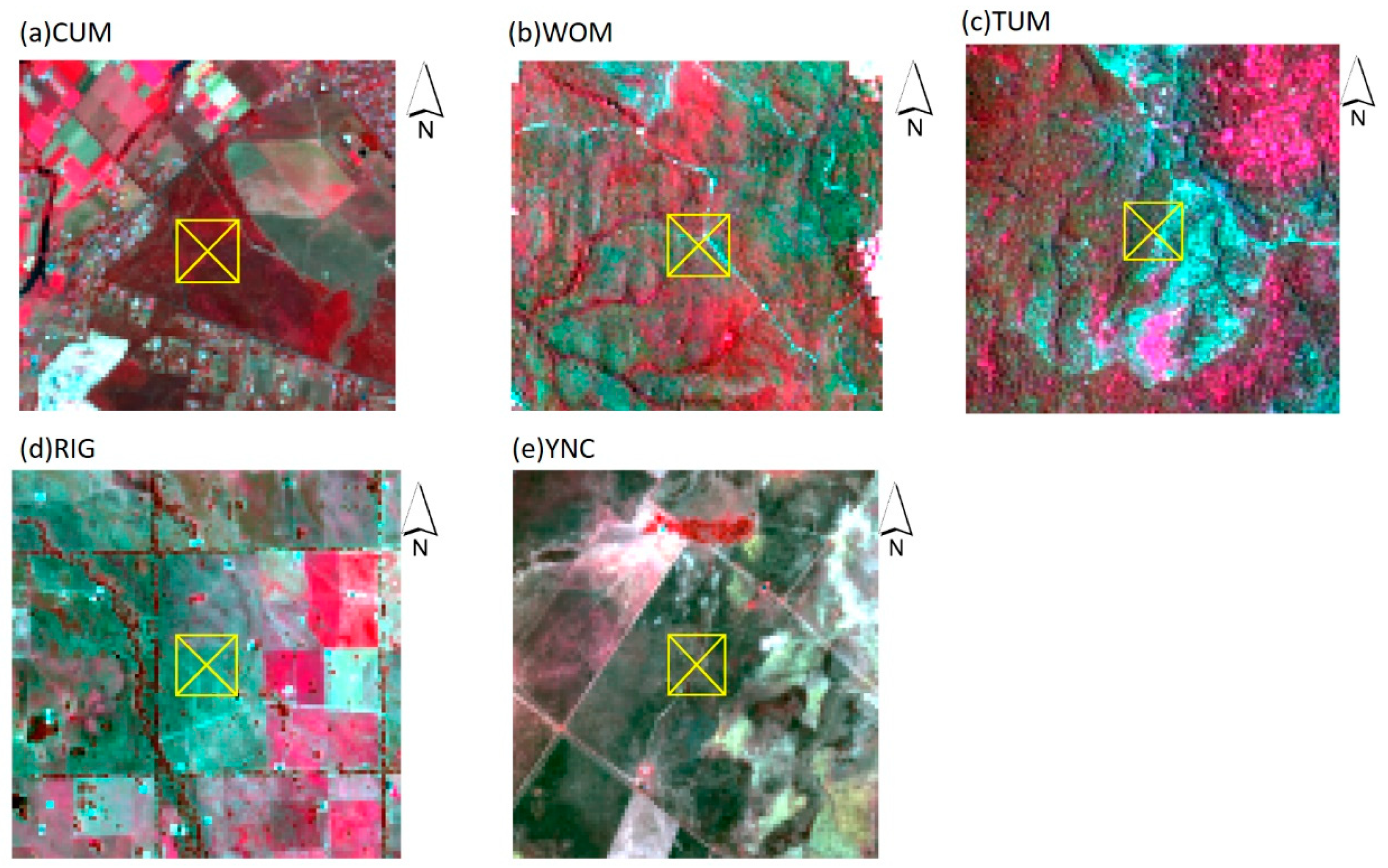Remotesensing 11 01303 g001