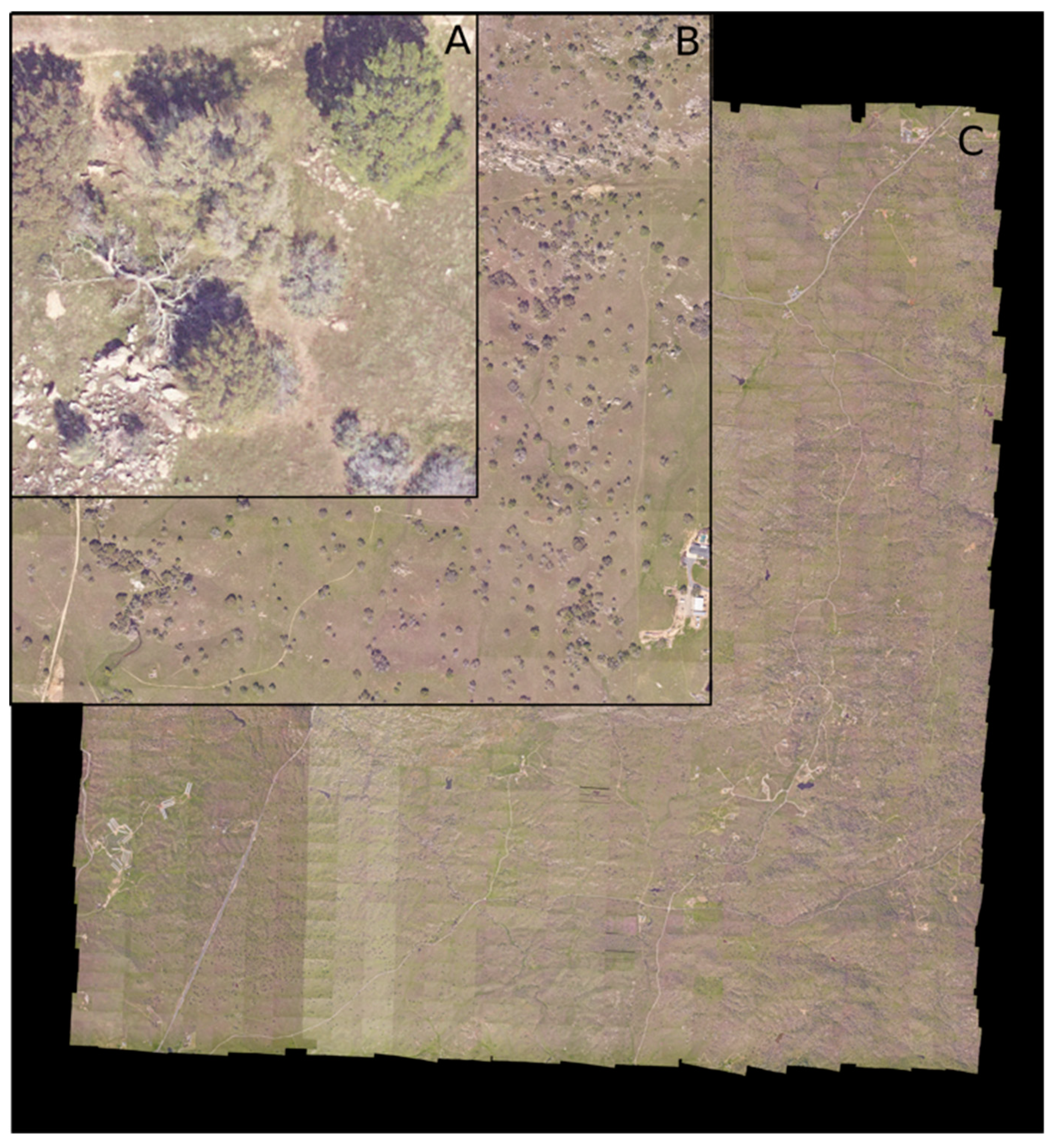 Remotesensing 11 01309 g003