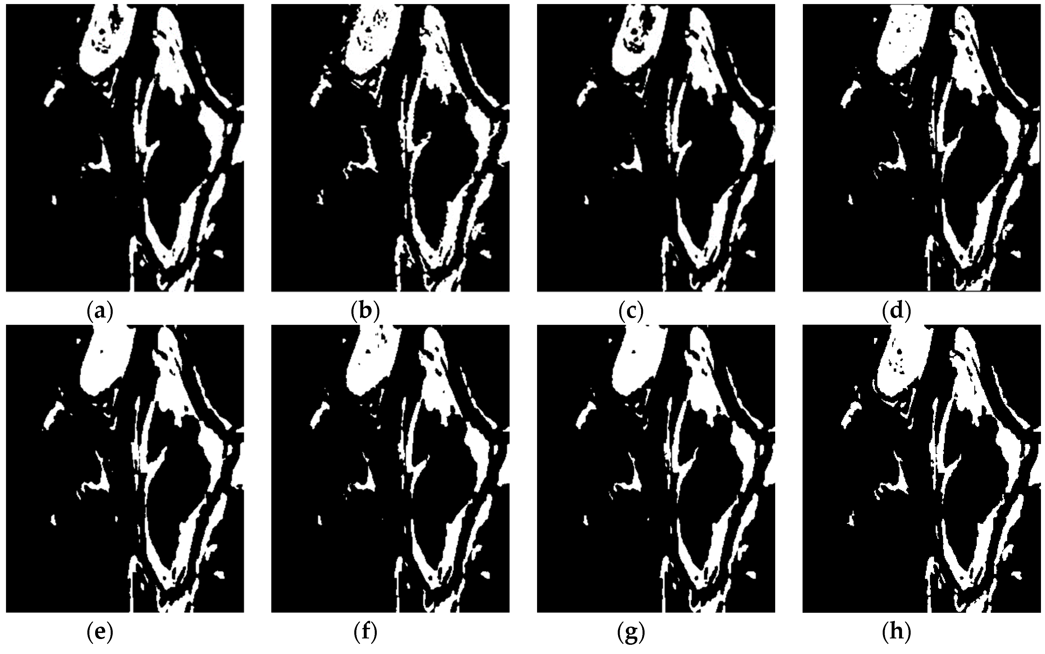 Remotesensing 11 01314 g010