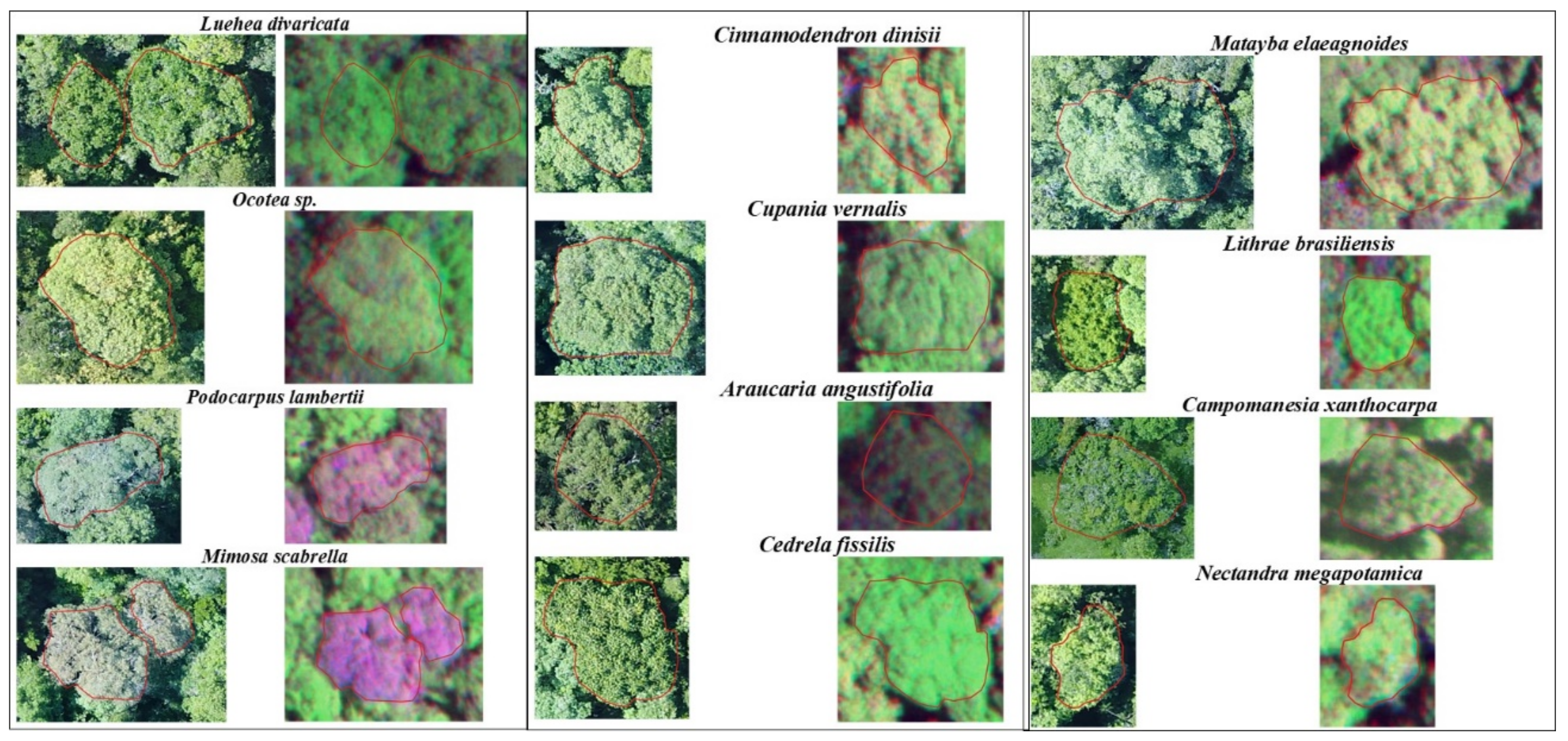 Remotesensing 11 01338 g002