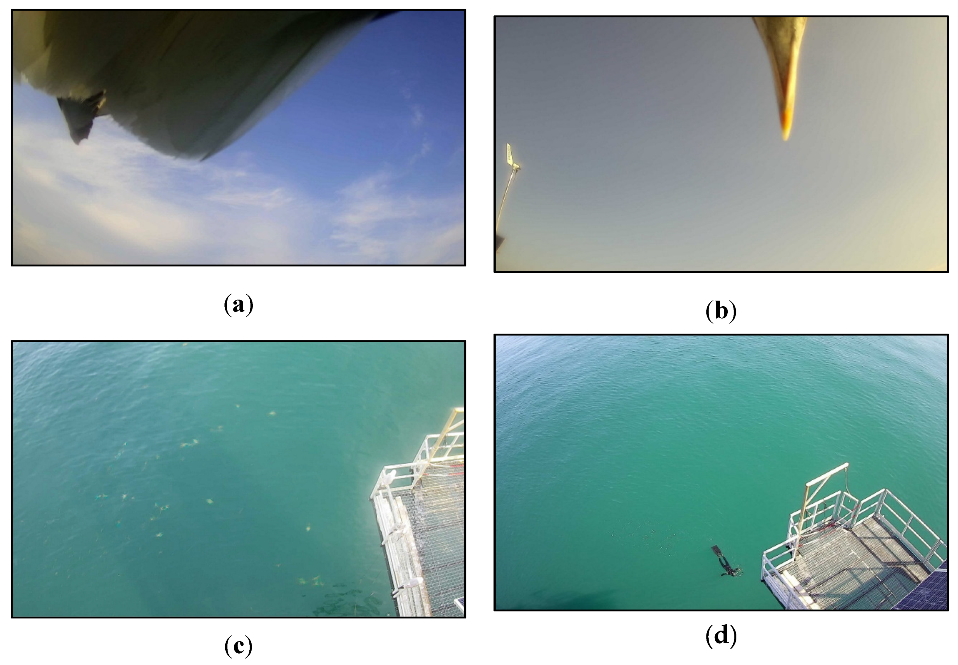 Remotesensing 11 01360 g005 Remotesensing 11 01360 g005