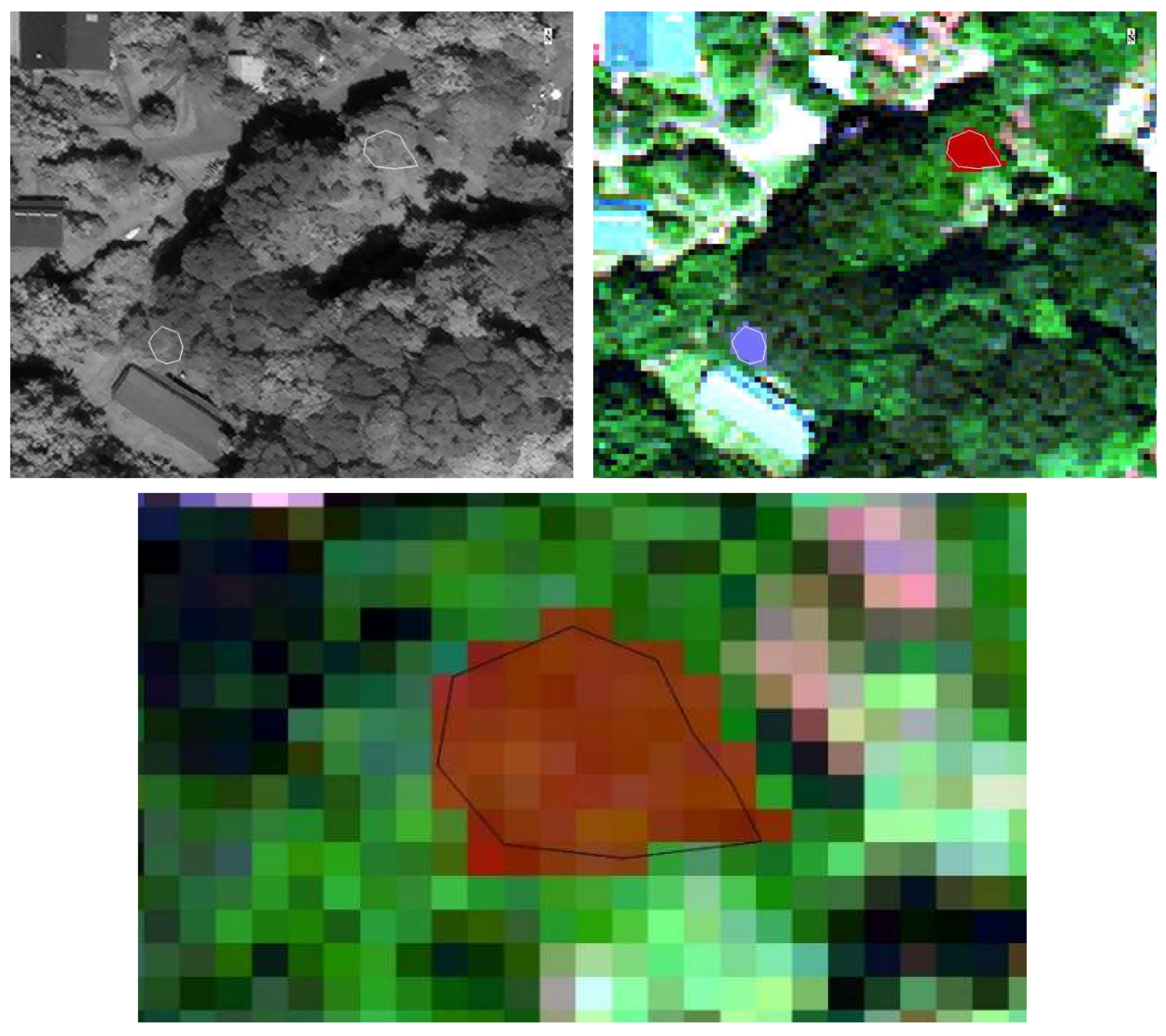 Remotesensing 11 01411 g003