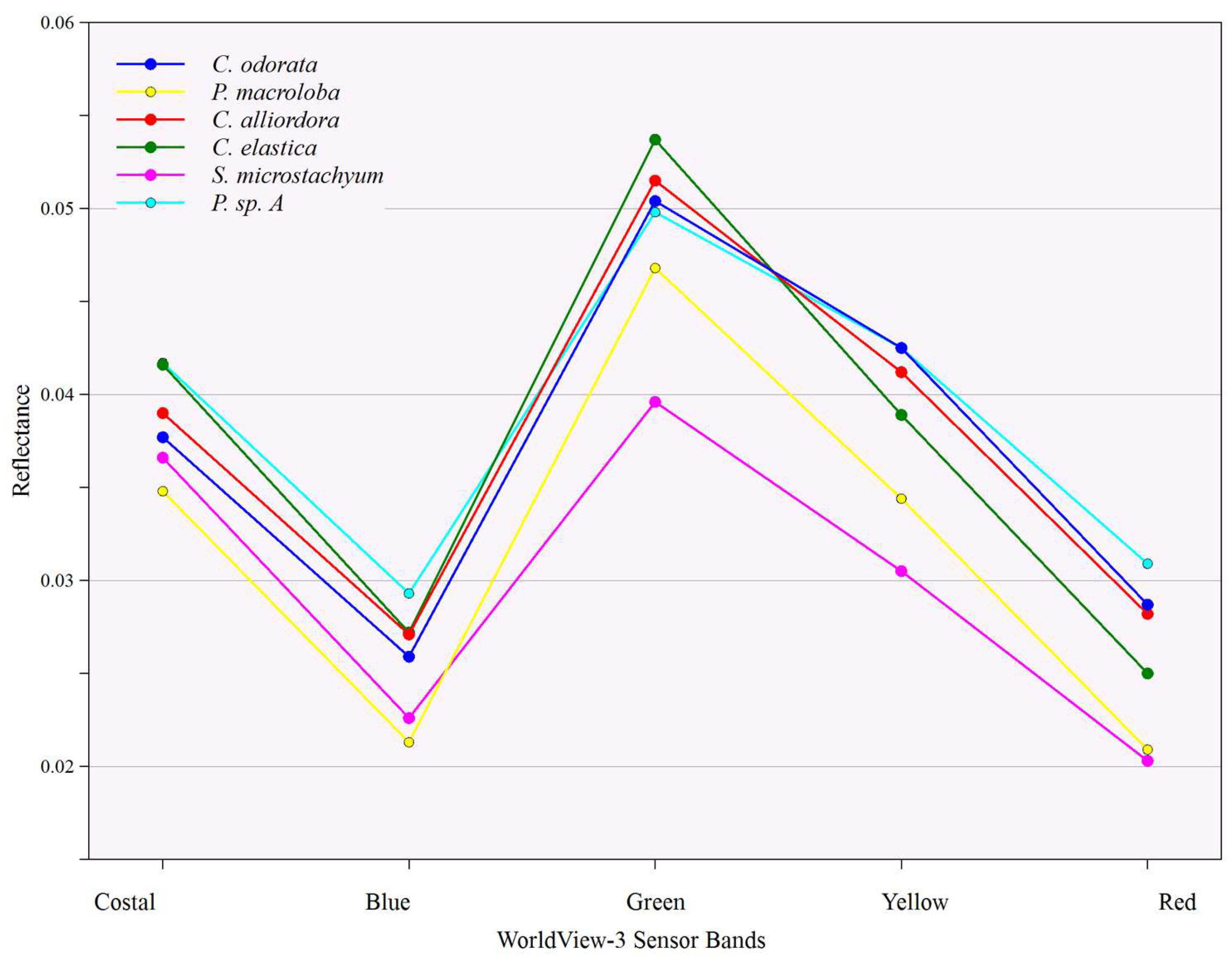 Remotesensing 11 01411 g005