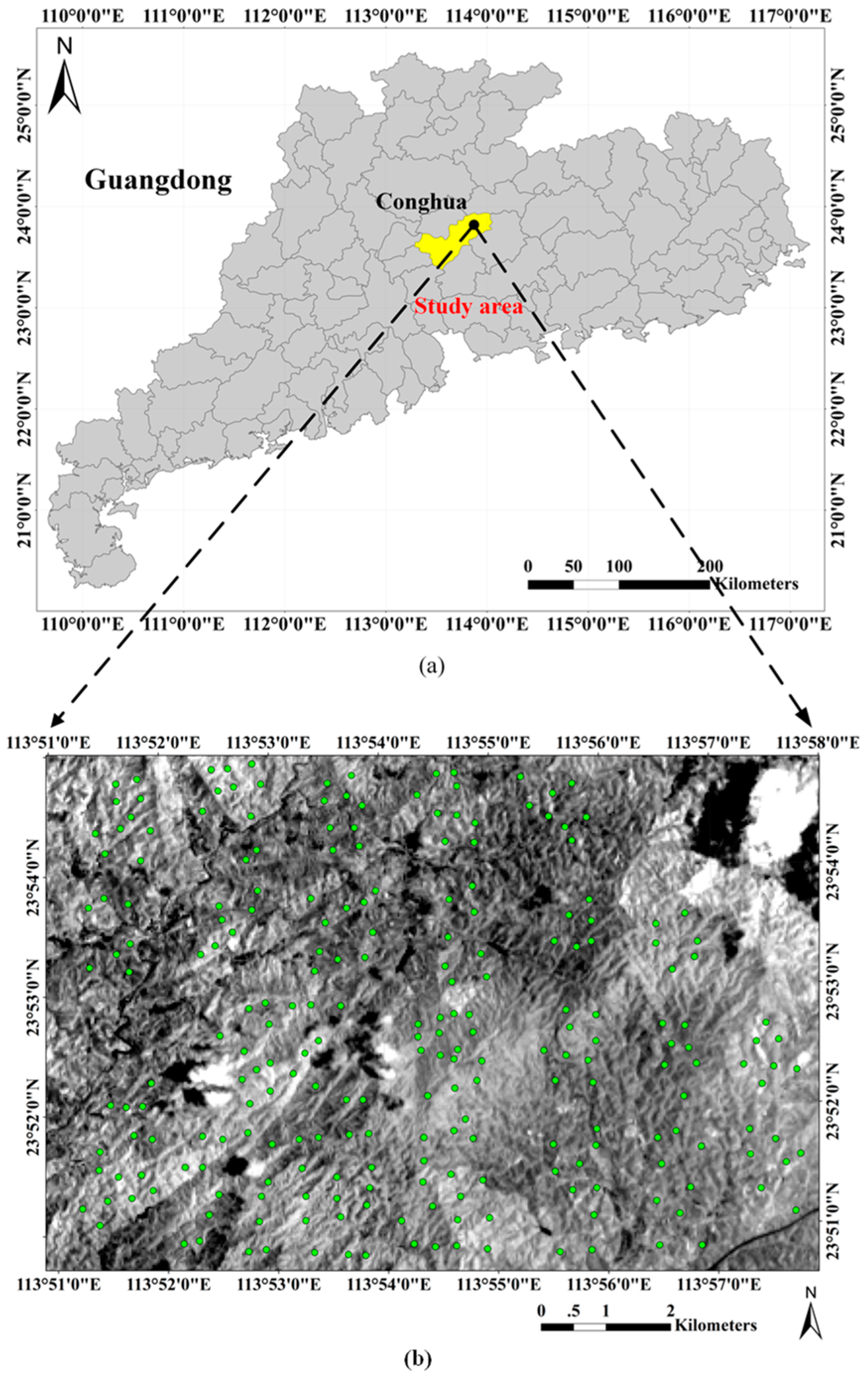 Remotesensing 11 01459 g001