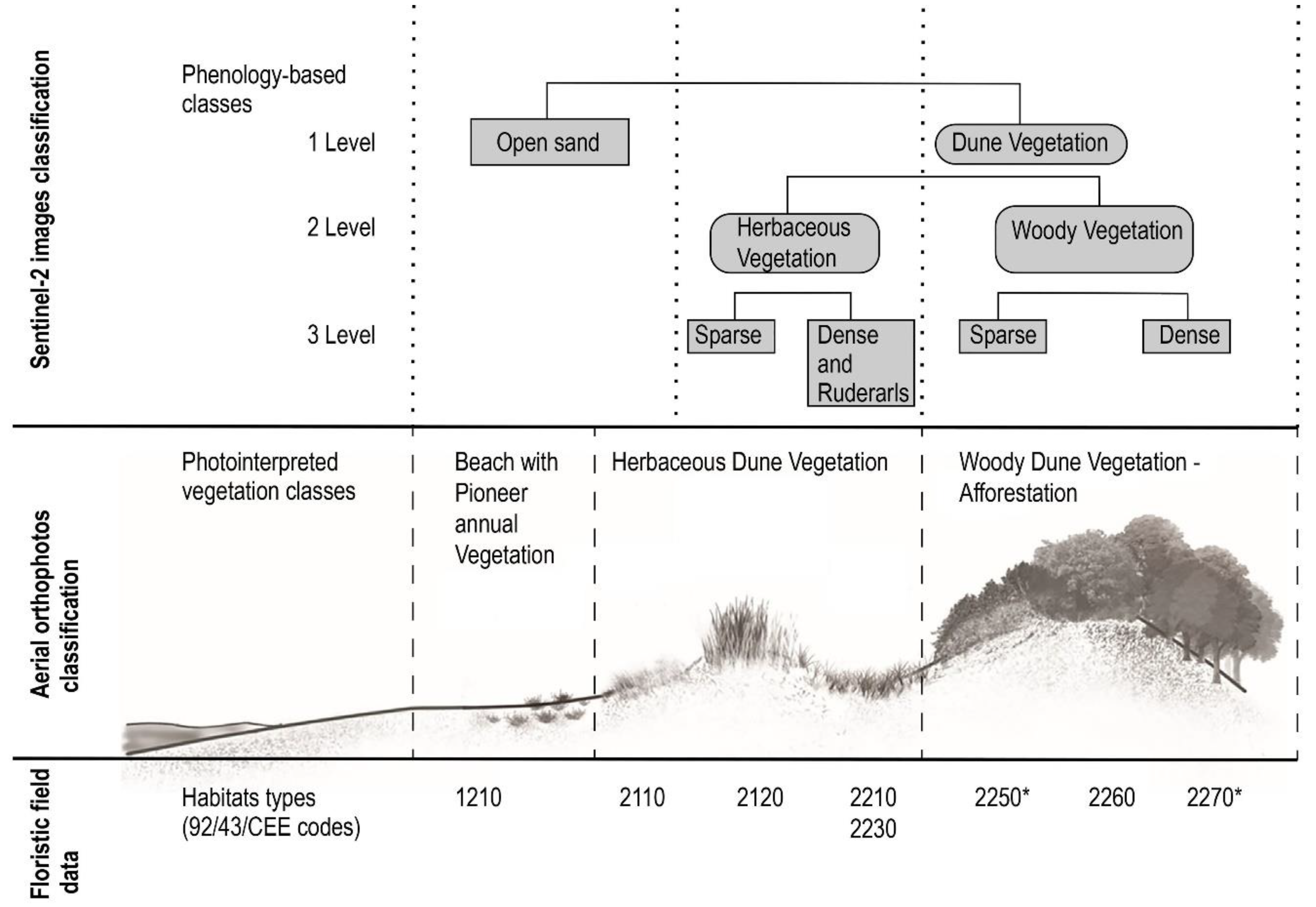 Remotesensing 11 01506 g005 Remotesensing 11 01506 g005