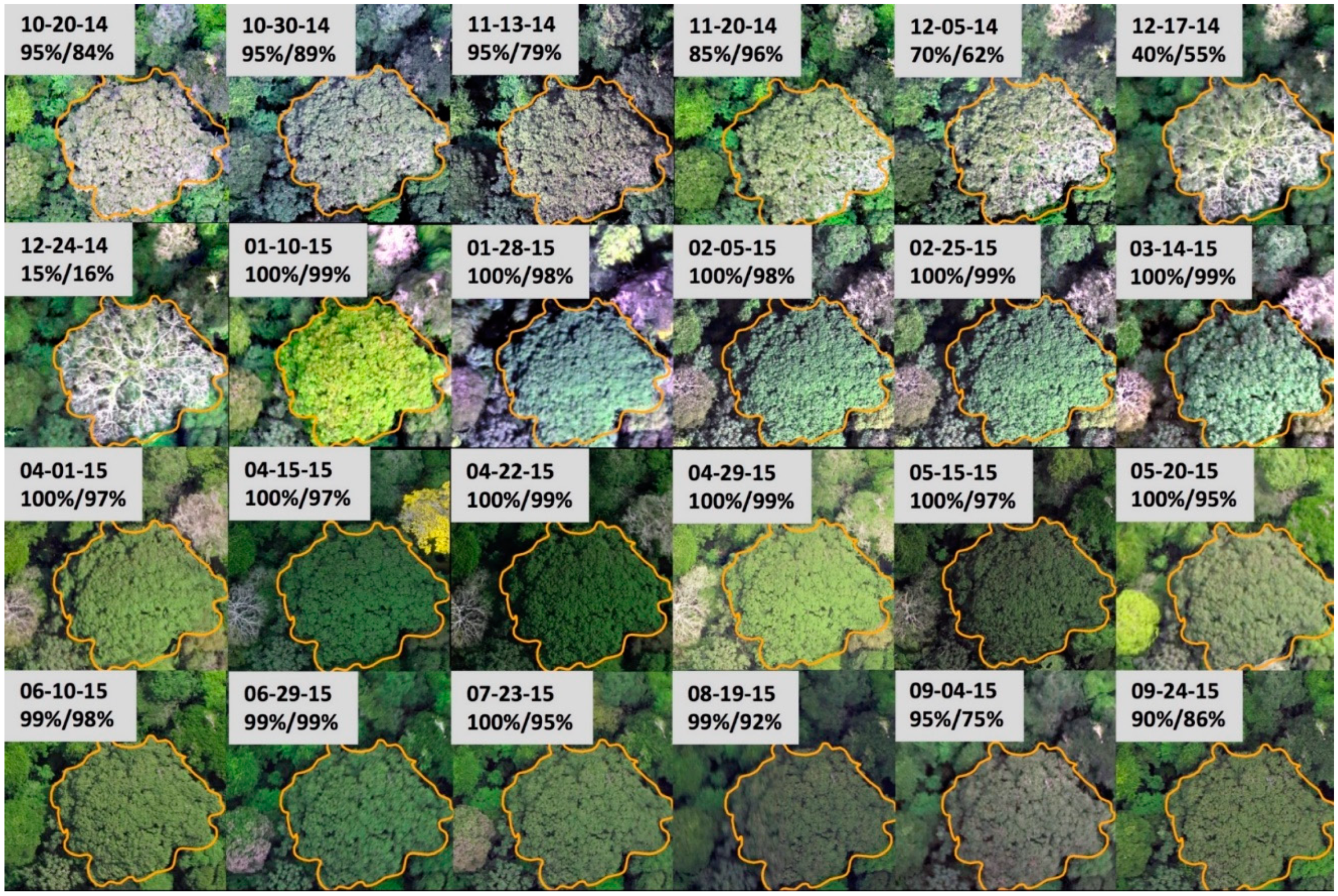 Remotesensing 11 01534 g003 Remotesensing 11 01534 g003