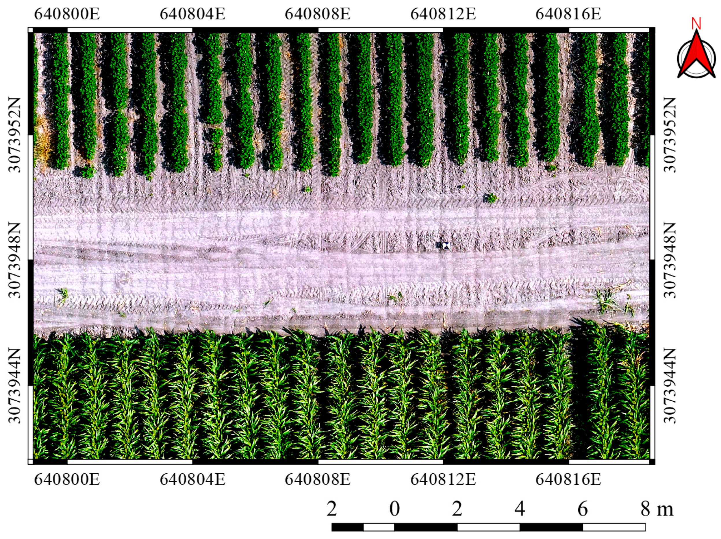 Remotesensing 11 01548 g004 Remotesensing 11 01548 g004