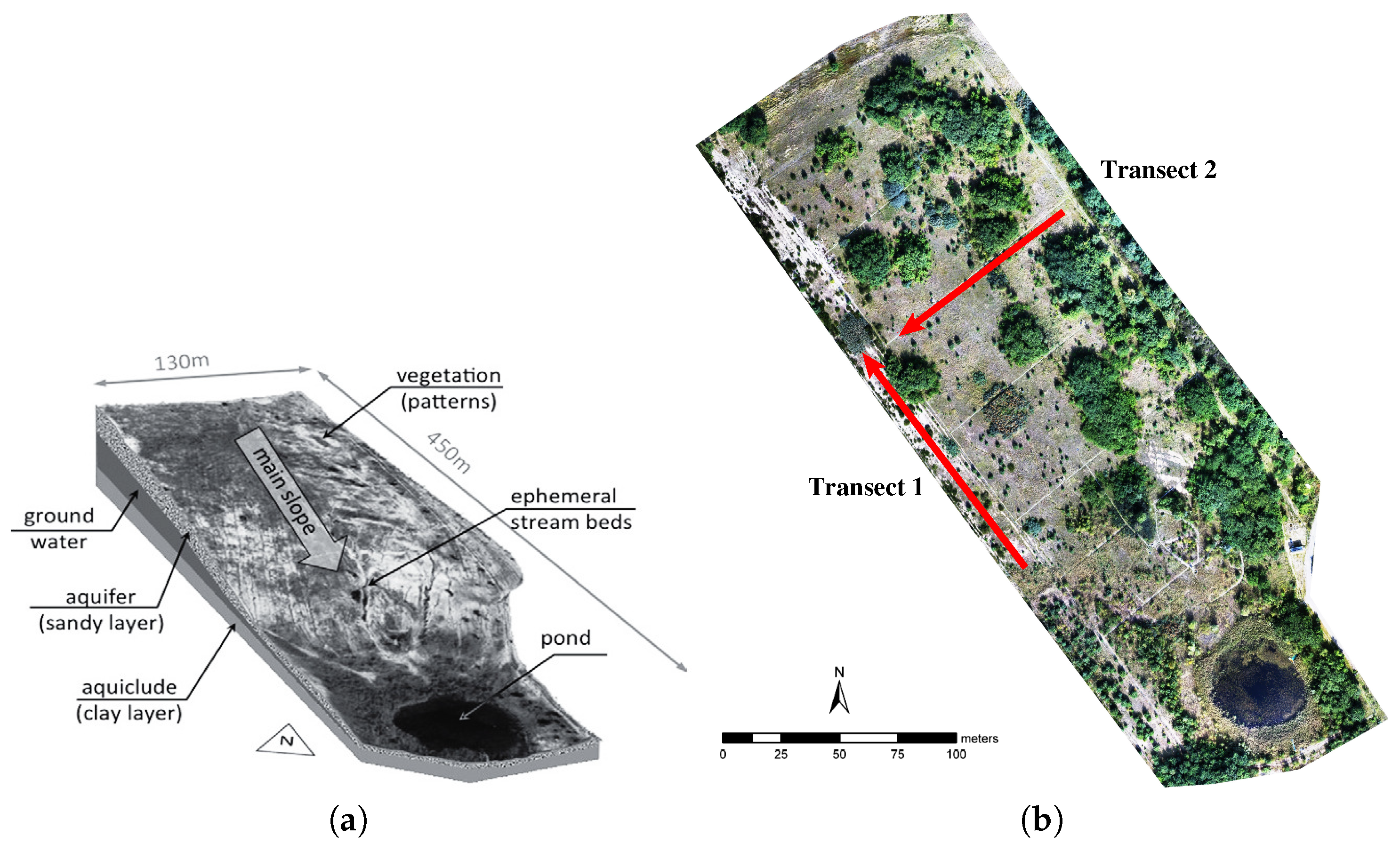 Remotesensing 11 01549 g001