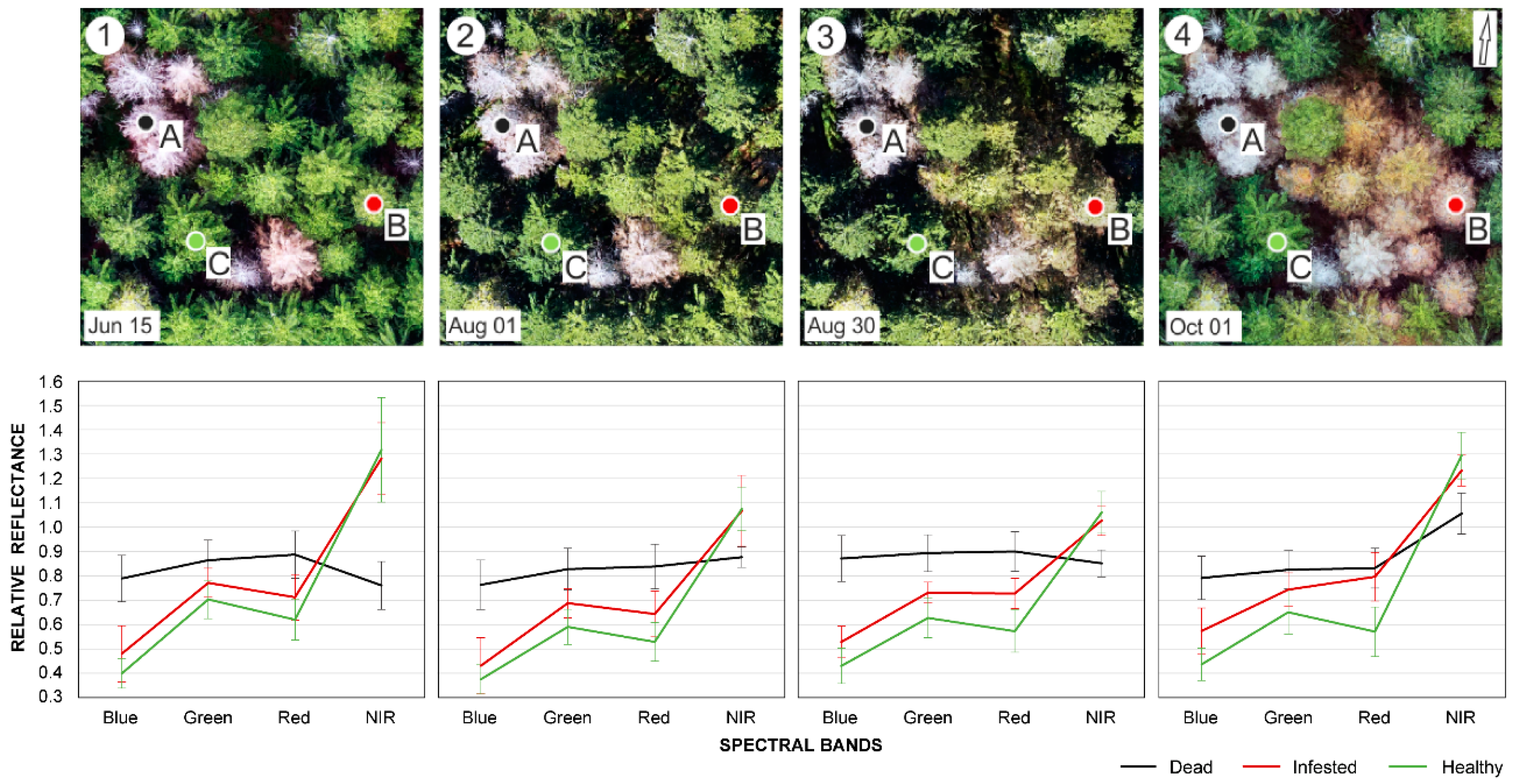 Remotesensing 11 01561 g002 Remotesensing 11 01561 g002