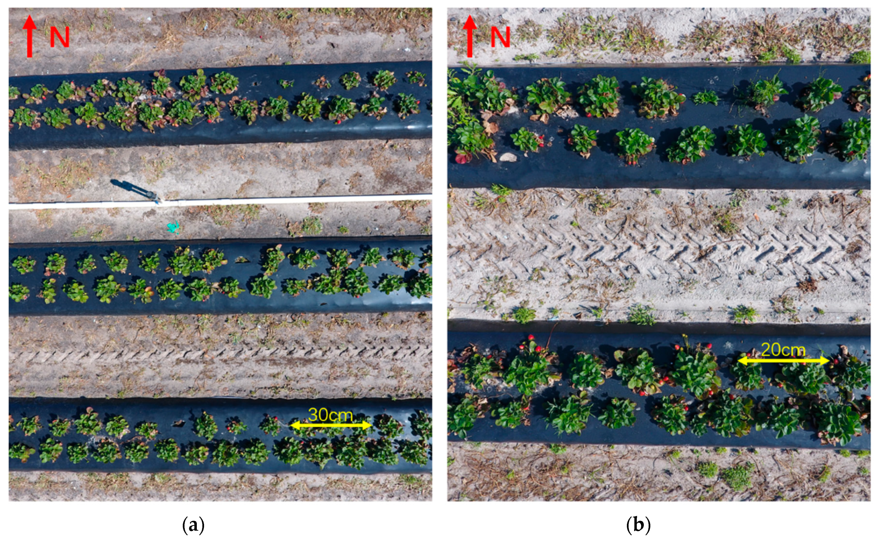 Remotesensing 11 01584 g002