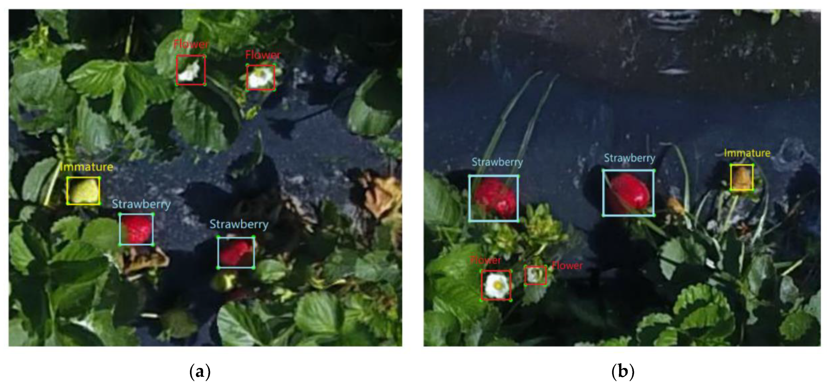 Remotesensing 11 01584 g004