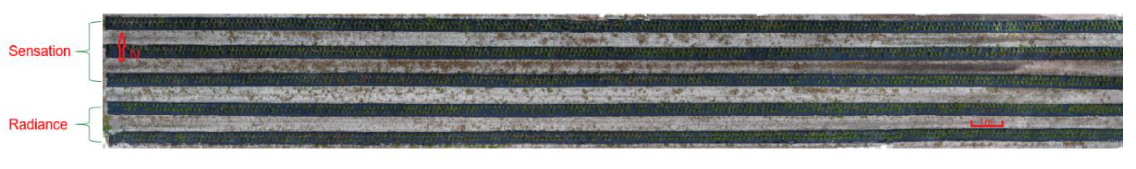 Remotesensing 11 01584 g008