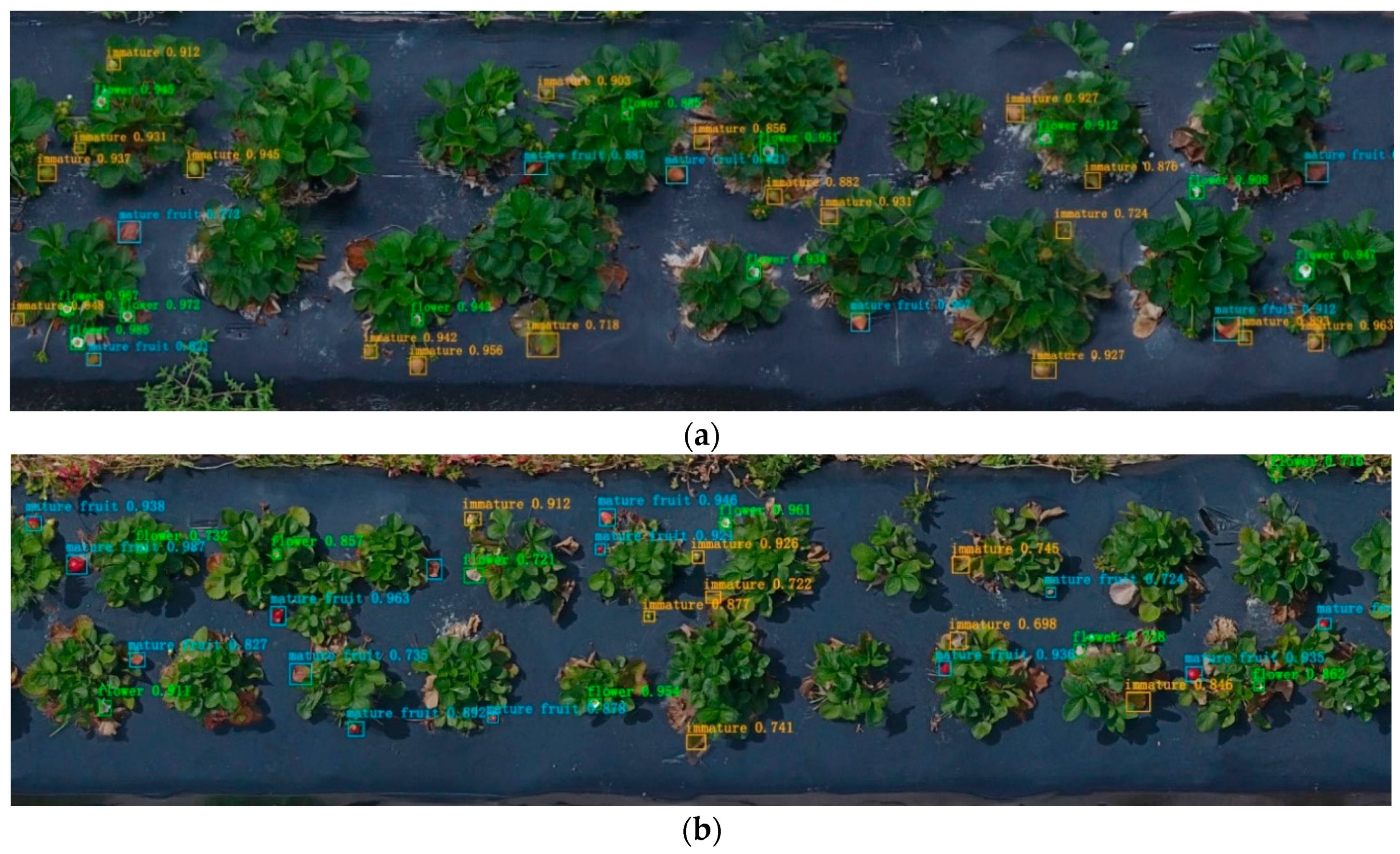 Remotesensing 11 01584 g009