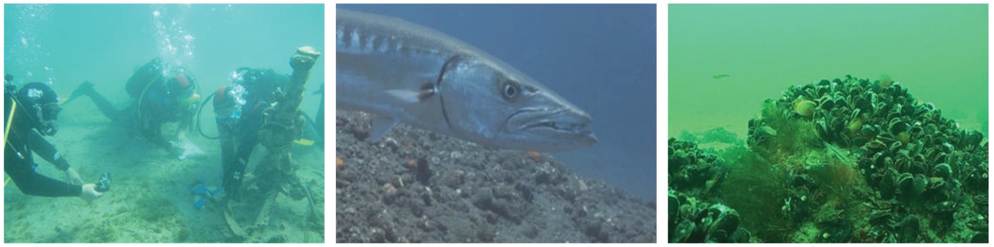 Remotesensing 11 01591 g001