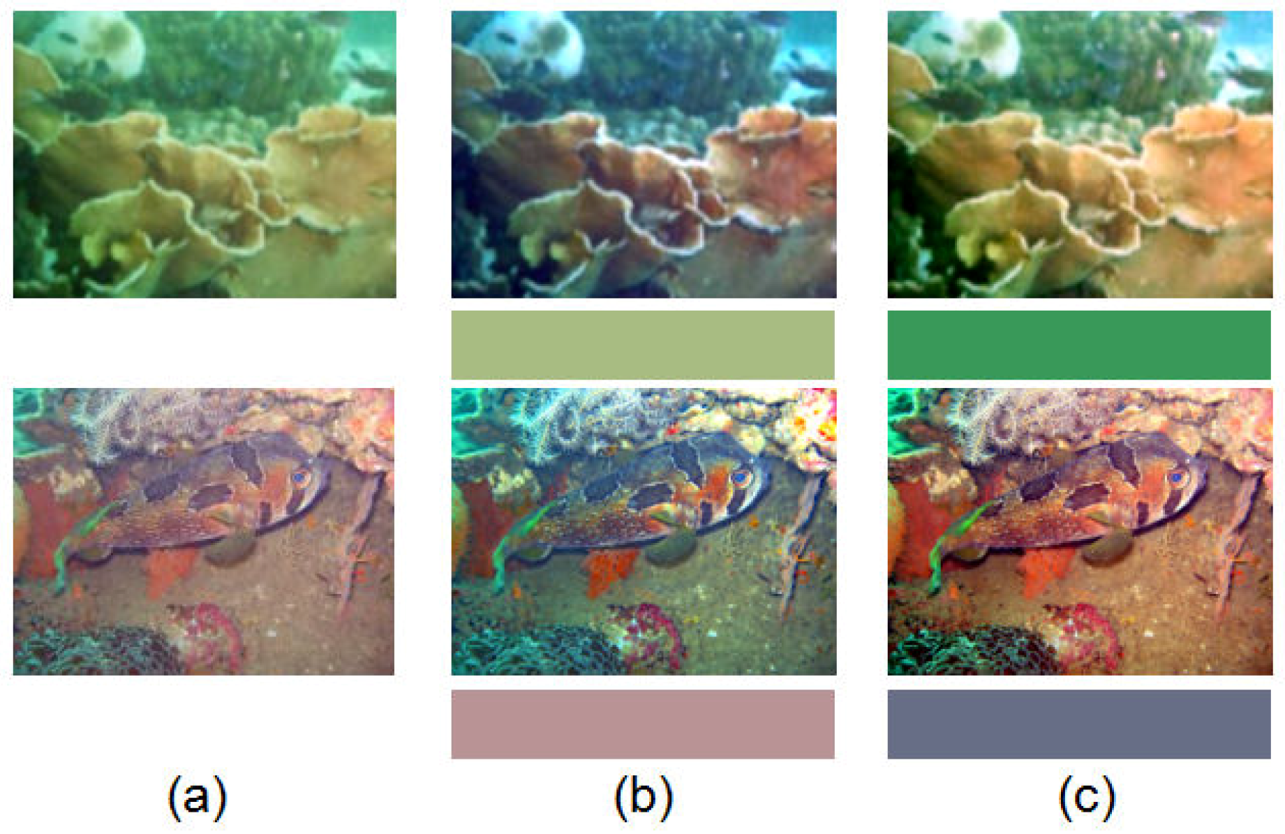 Remotesensing 11 01591 g013