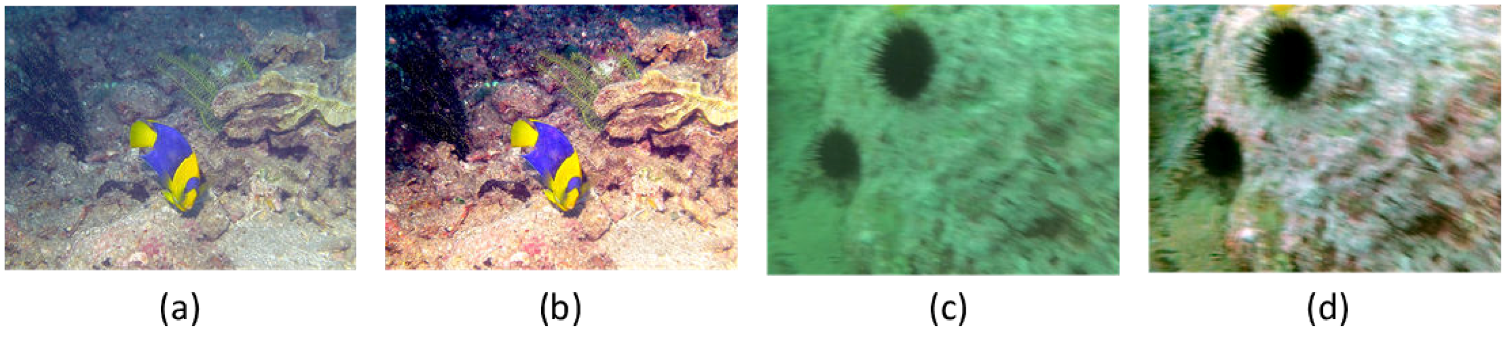 Remotesensing 11 01591 g015