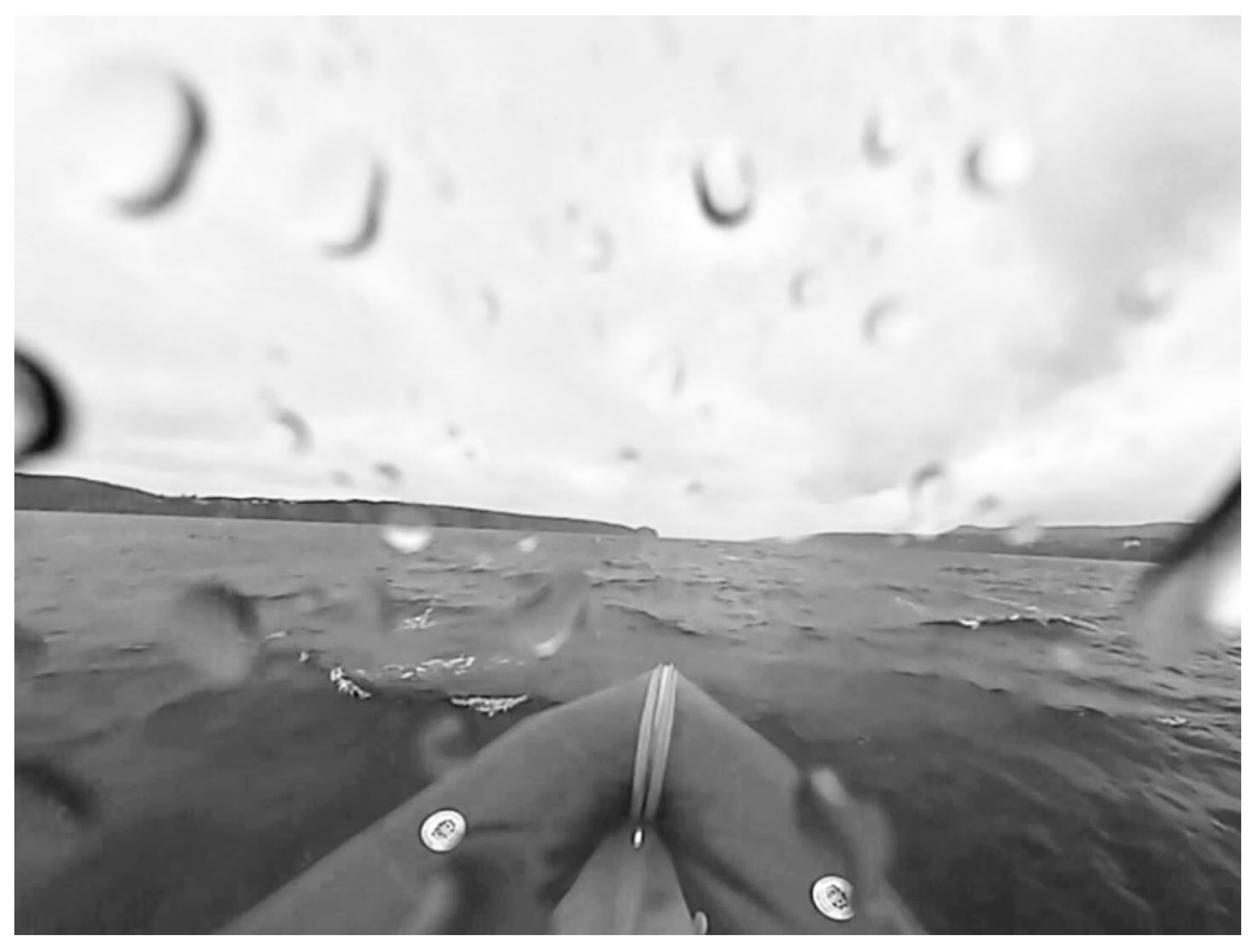 Remotesensing 11 01607 g013 550