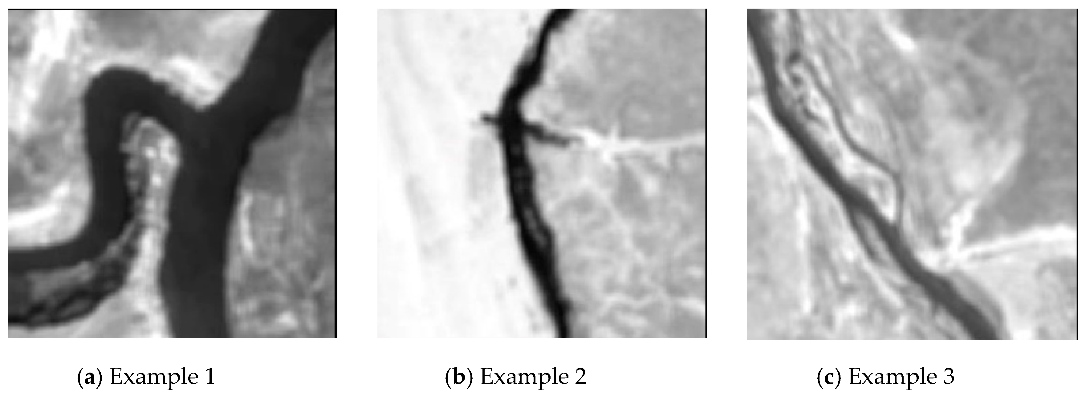 Remotesensing 11 01642 g004