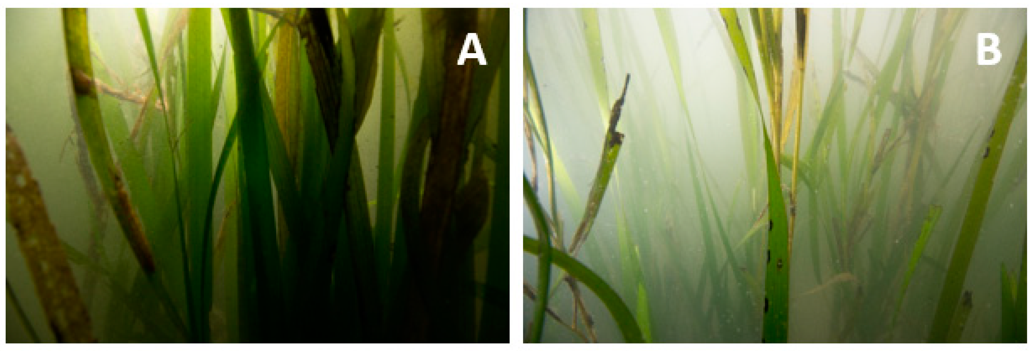 Remotesensing 11 01664 g013 Remotesensing 11 01664 g013